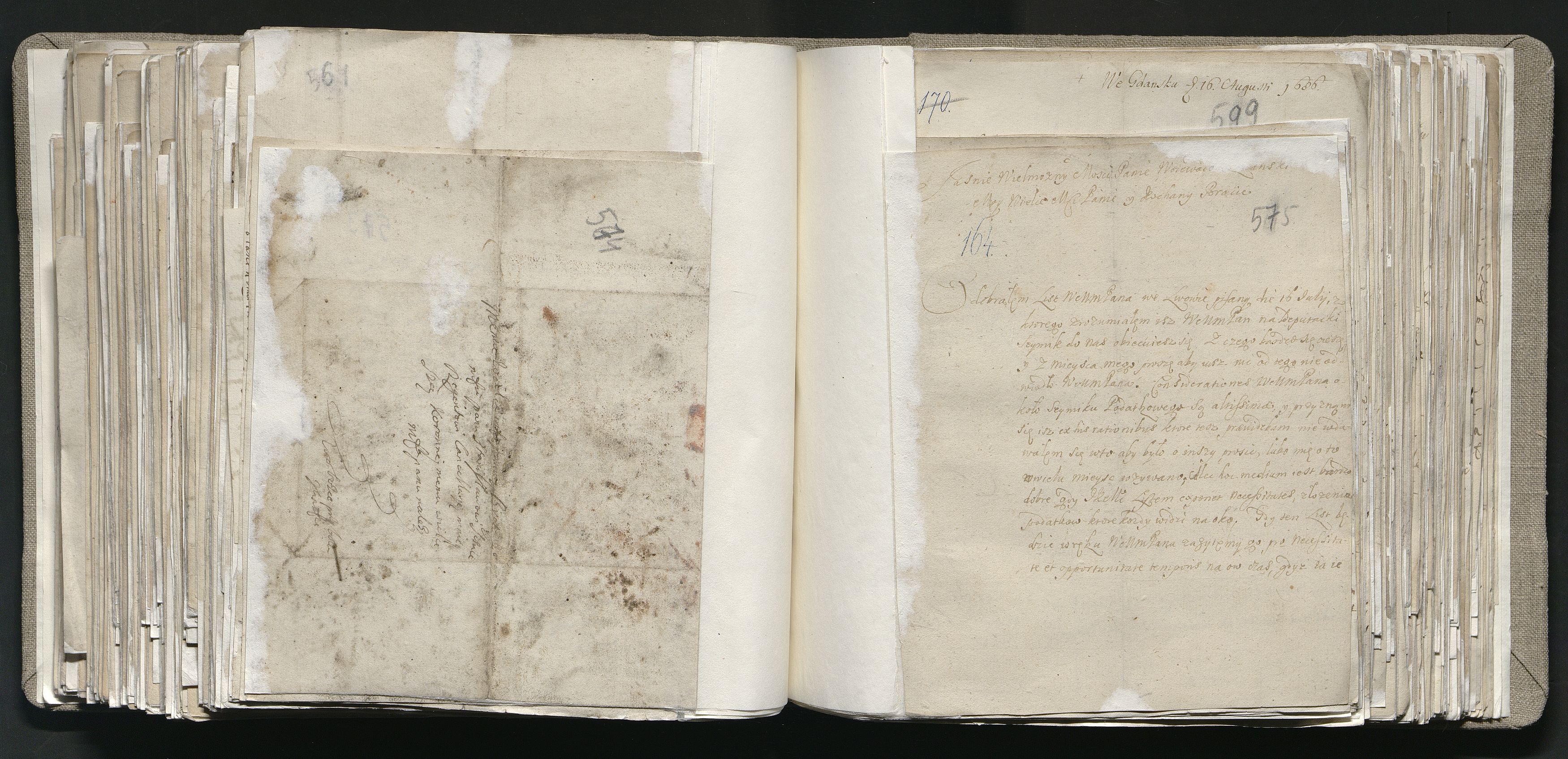 1_335_0_0_163a-13_0299