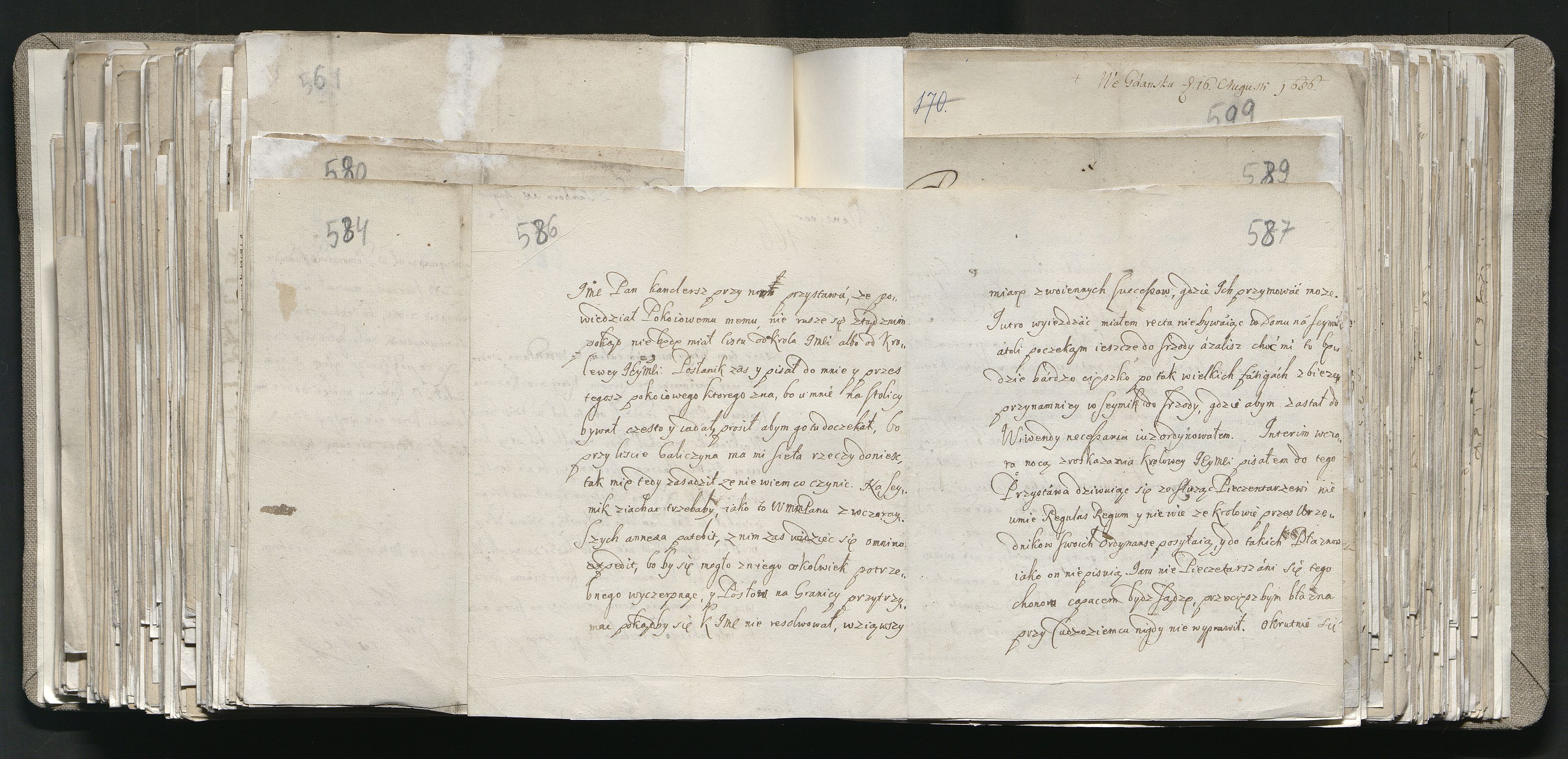 1_335_0_0_163a-13_0305