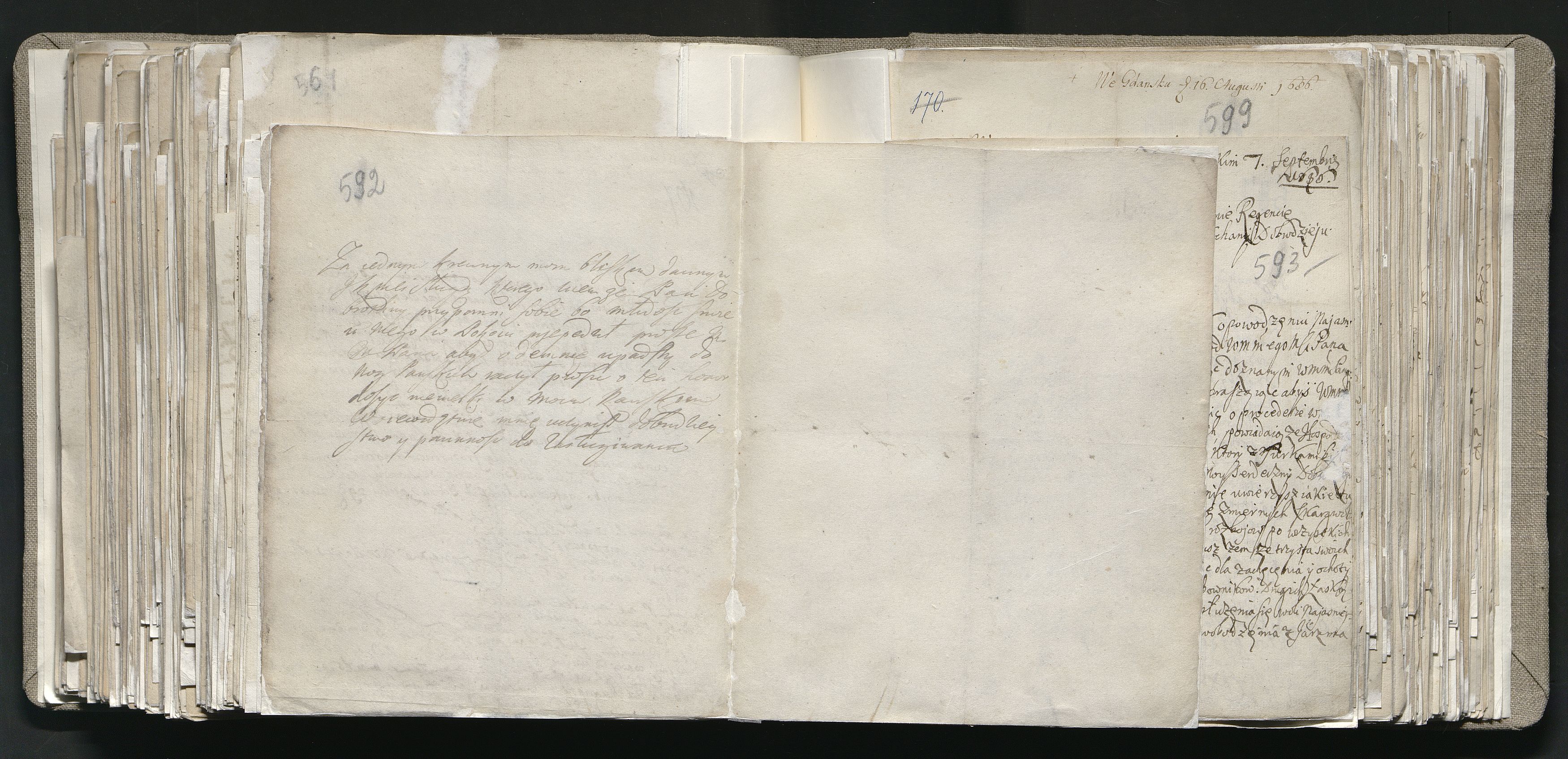 1_335_0_0_163a-13_0308