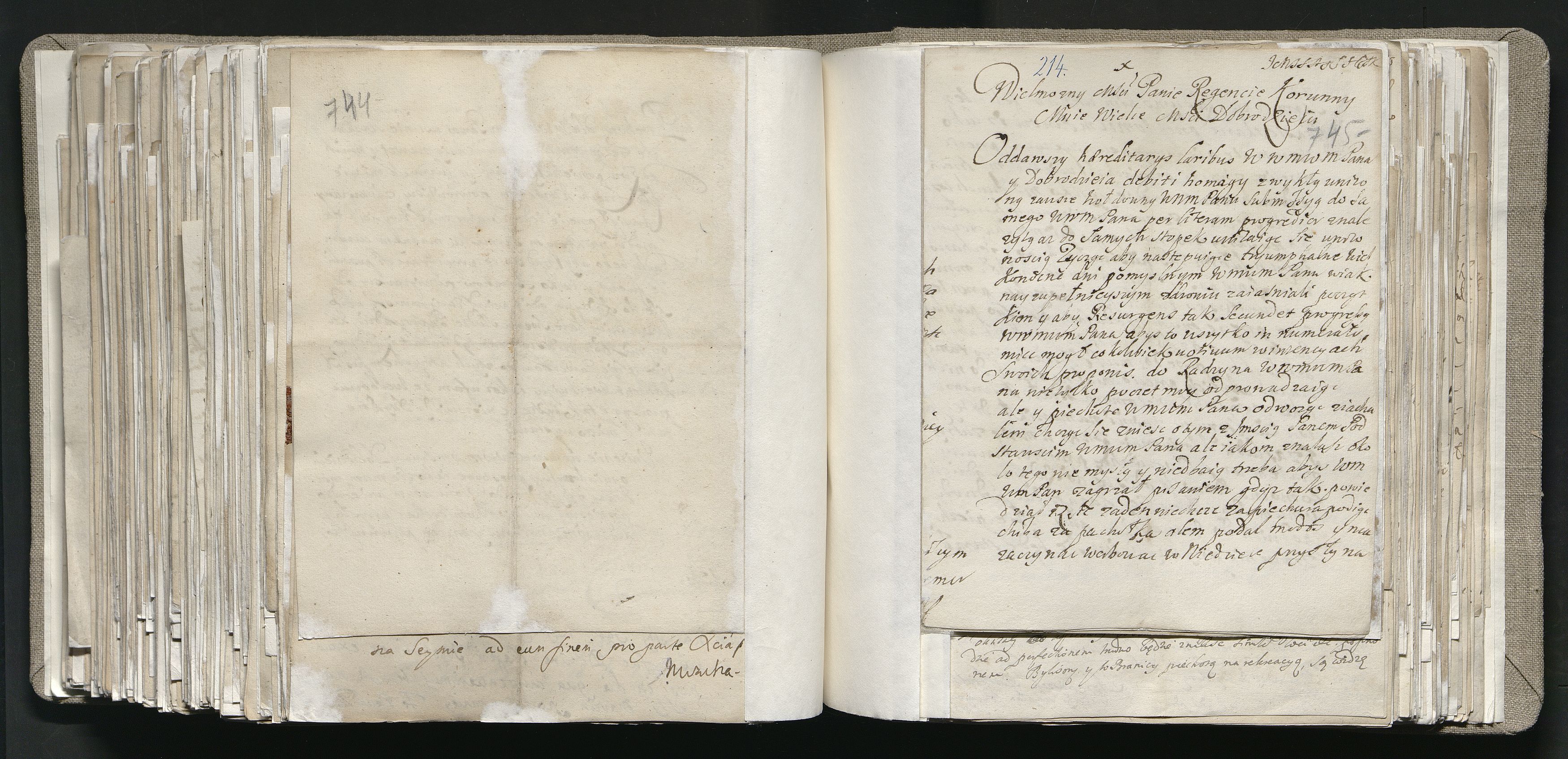 1_335_0_0_163a-13_0398