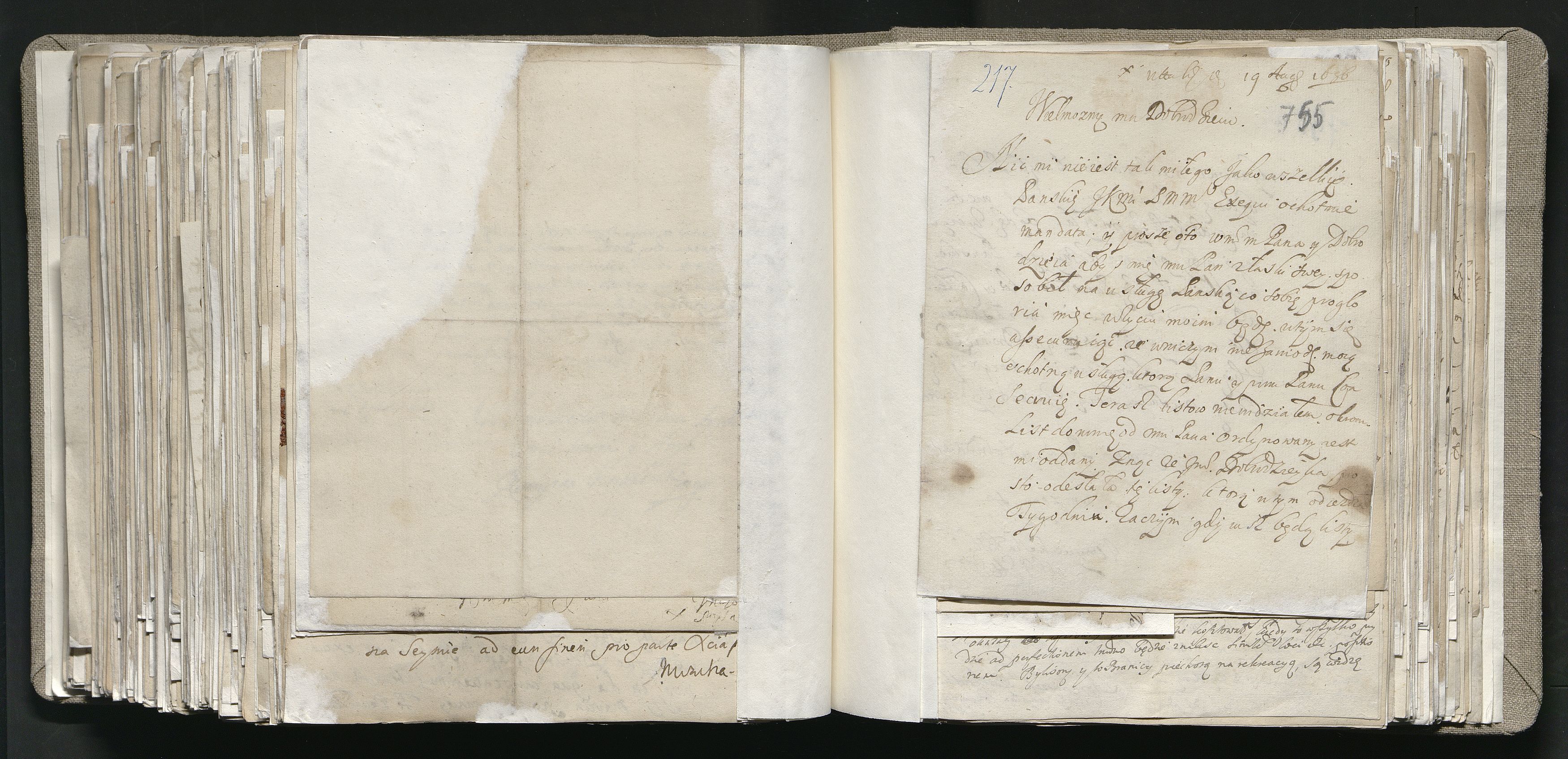 1_335_0_0_163a-13_0404