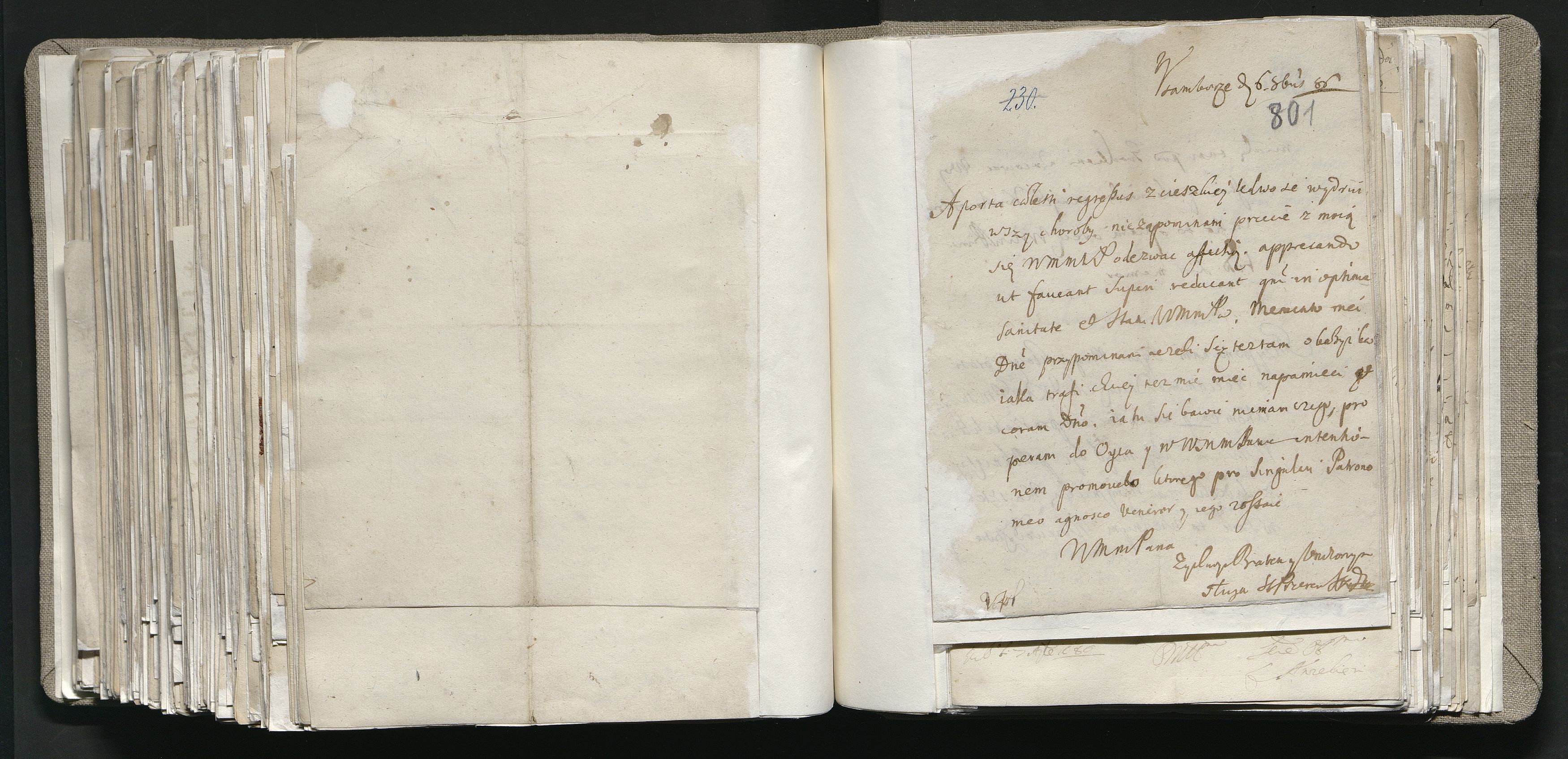 1_335_0_0_163a-13_0429