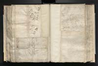 1_335_0_0_163a-16_0498