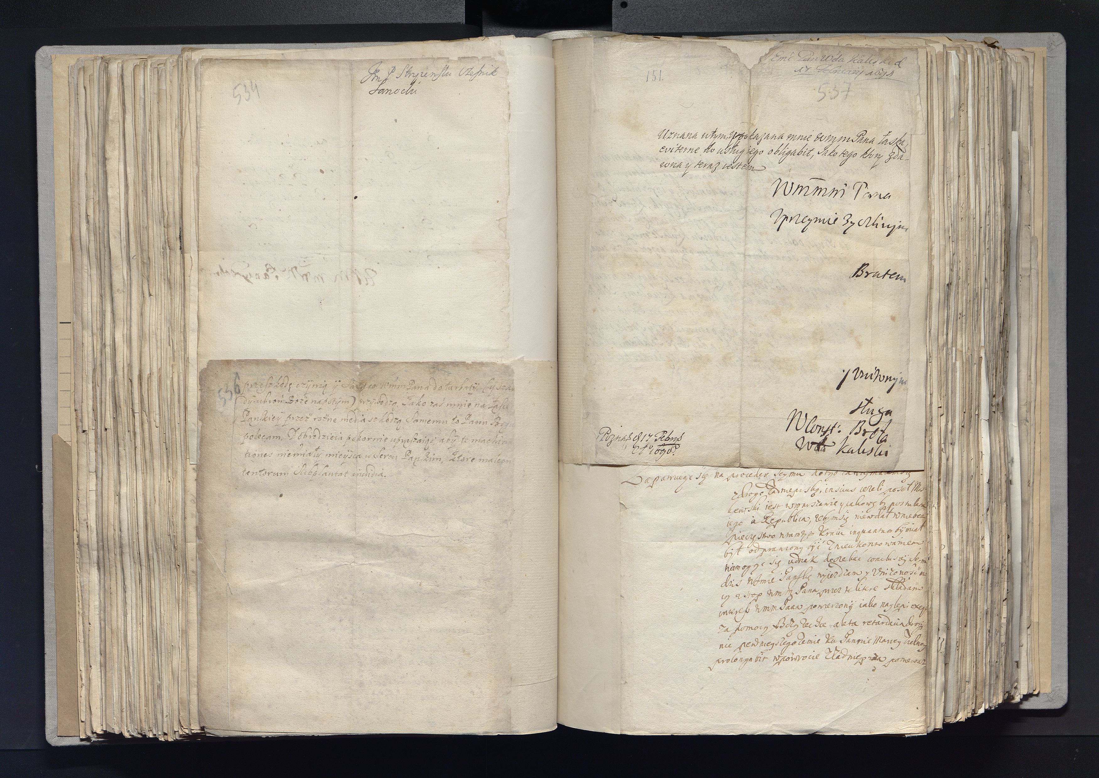 1_335_0_0_163a-17_0261