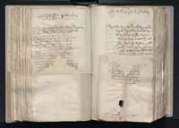 1_335_0_0_163a-17_0217