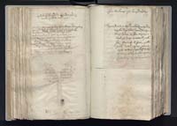 1_335_0_0_163a-17_0218