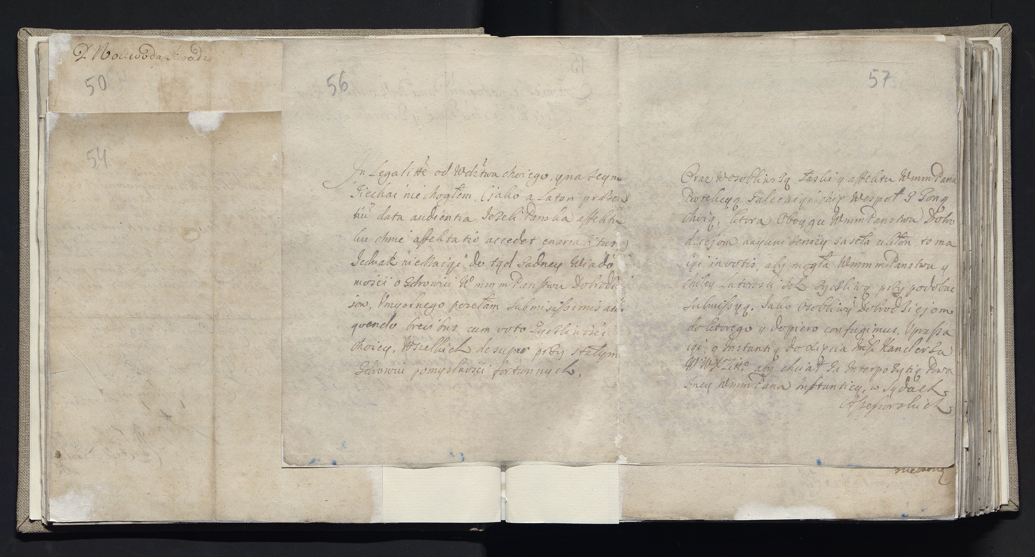 1_335_0_0_163a-19_0030