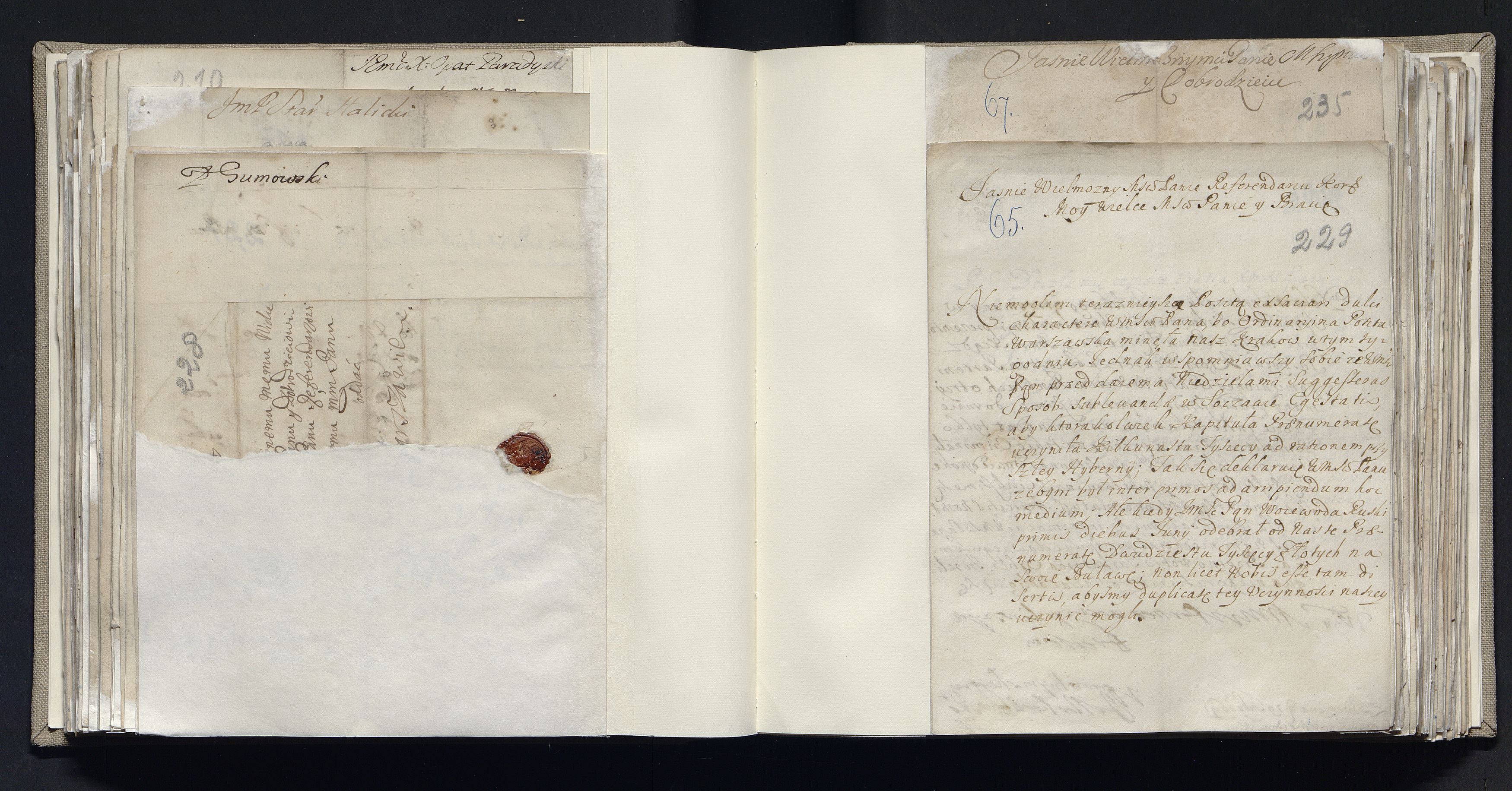 1_335_0_0_163a-19_0121