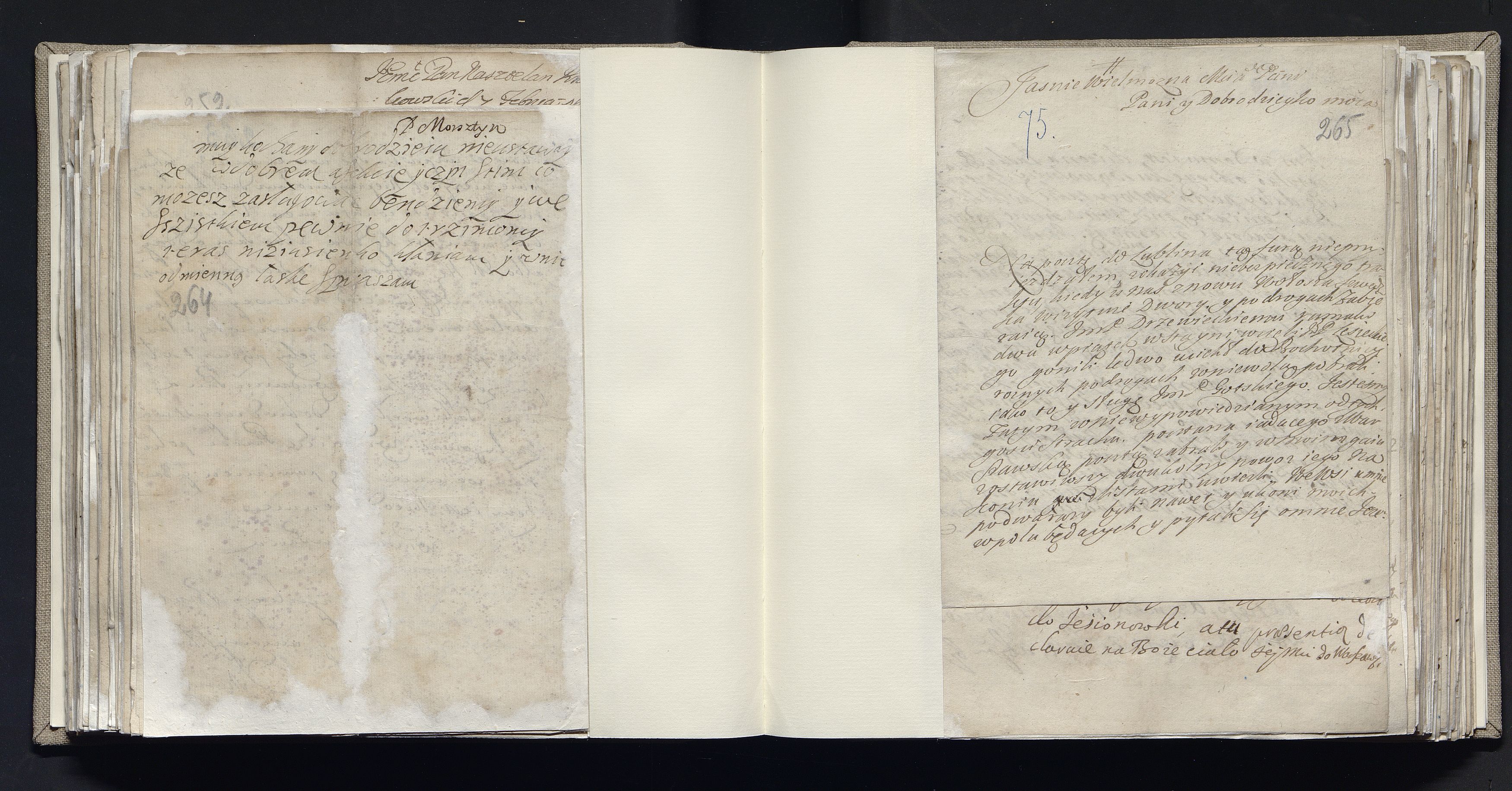 1_335_0_0_163a-19_0141