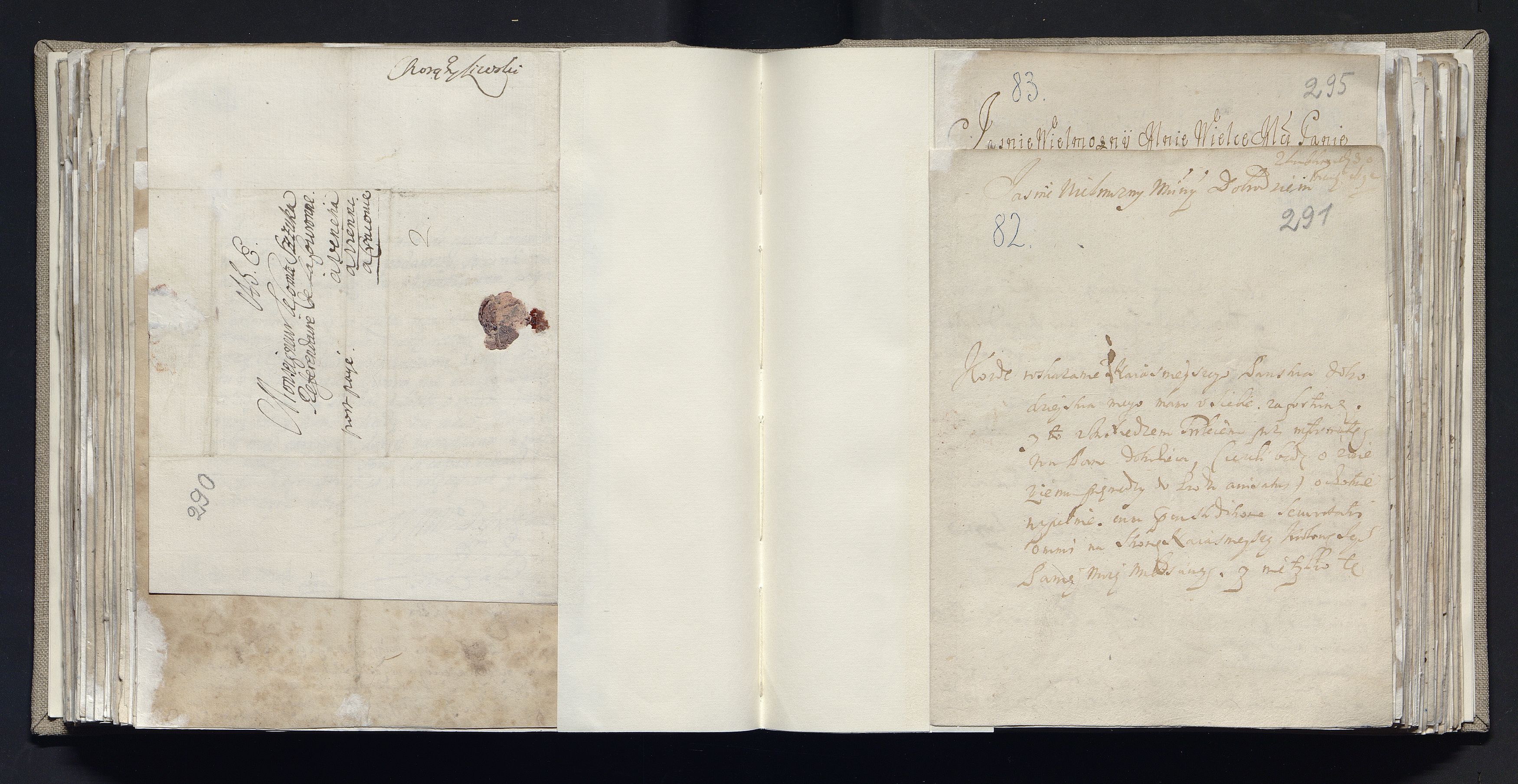 1_335_0_0_163a-19_0155