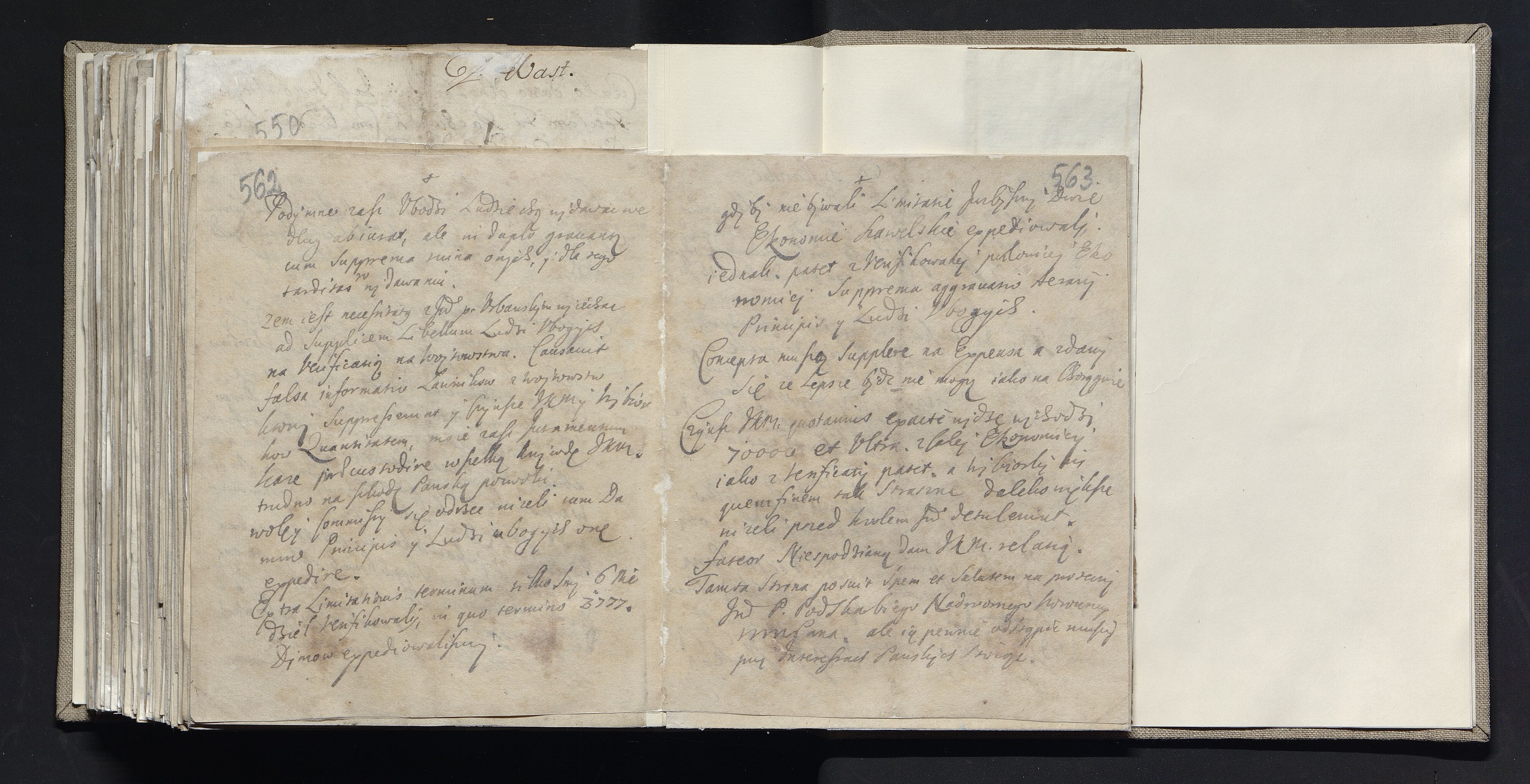 1_335_0_0_163a-19_0295