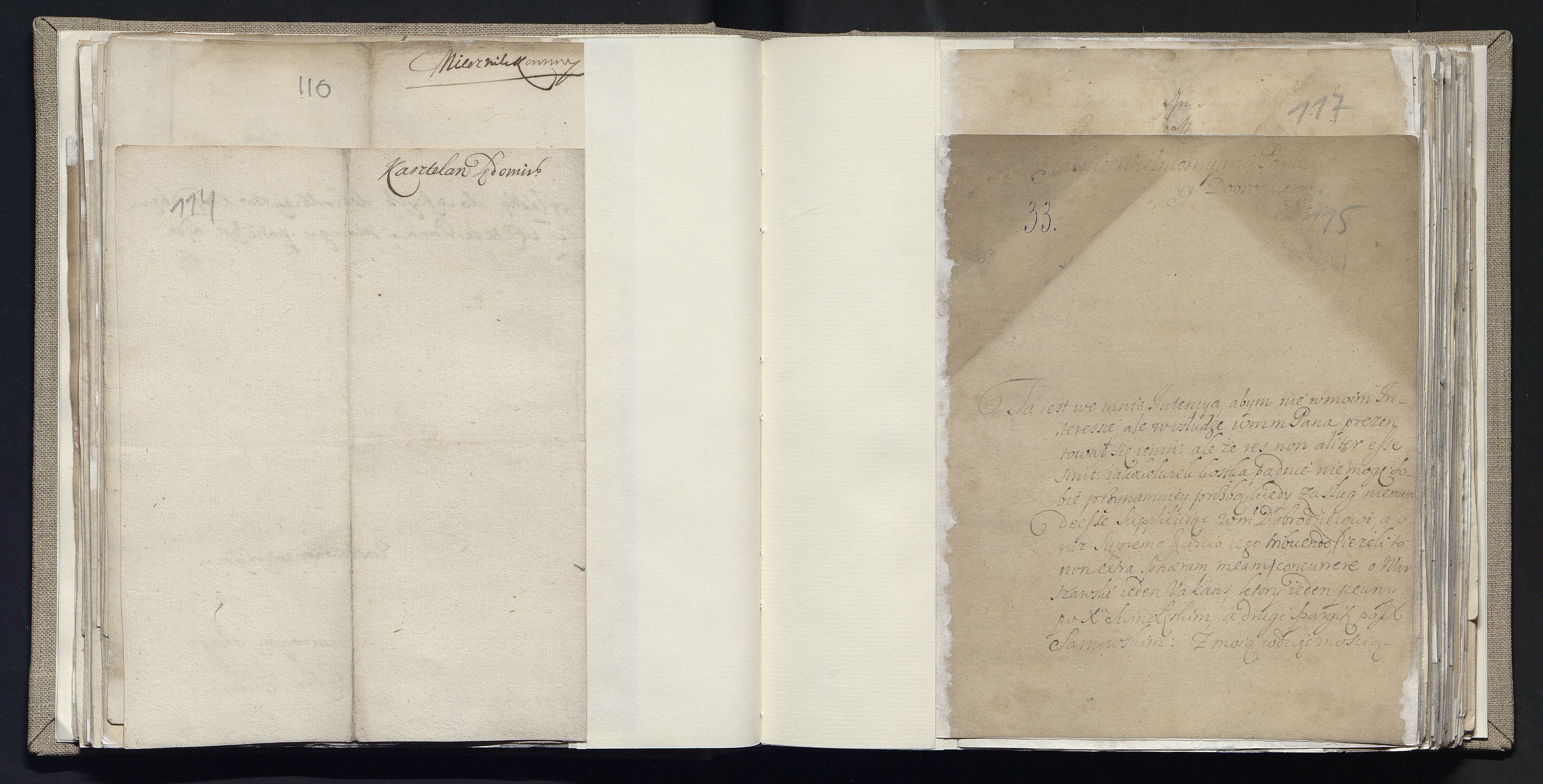 1_335_0_0_163a-20_0062