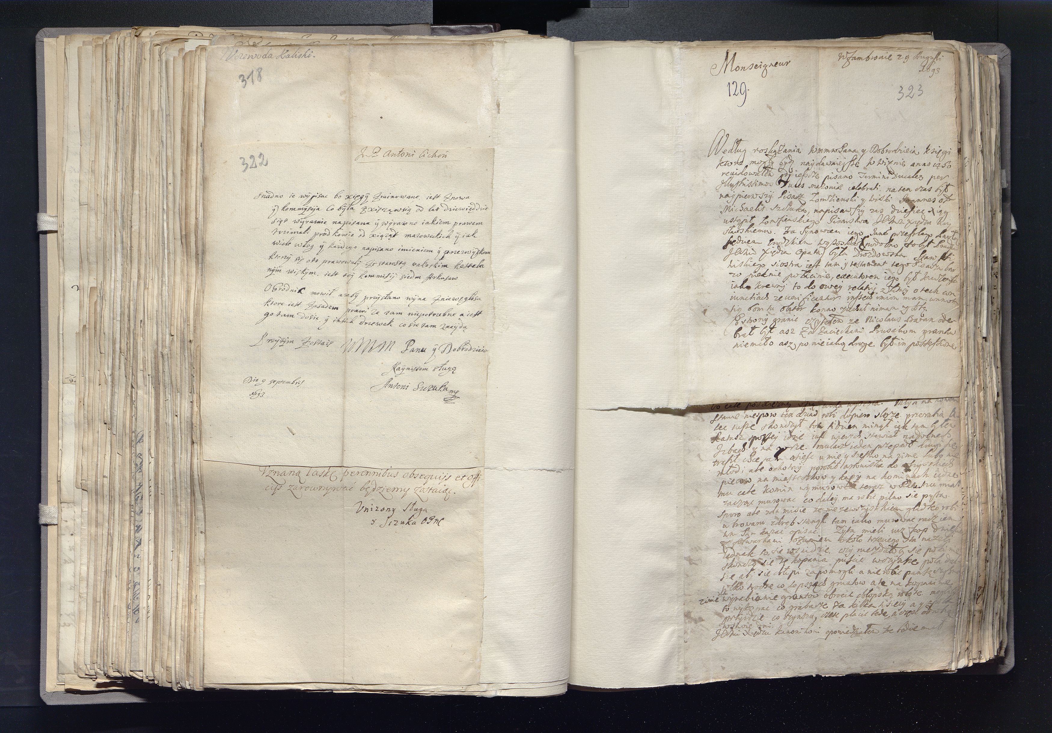 1_335_0_0_163a-24_0197