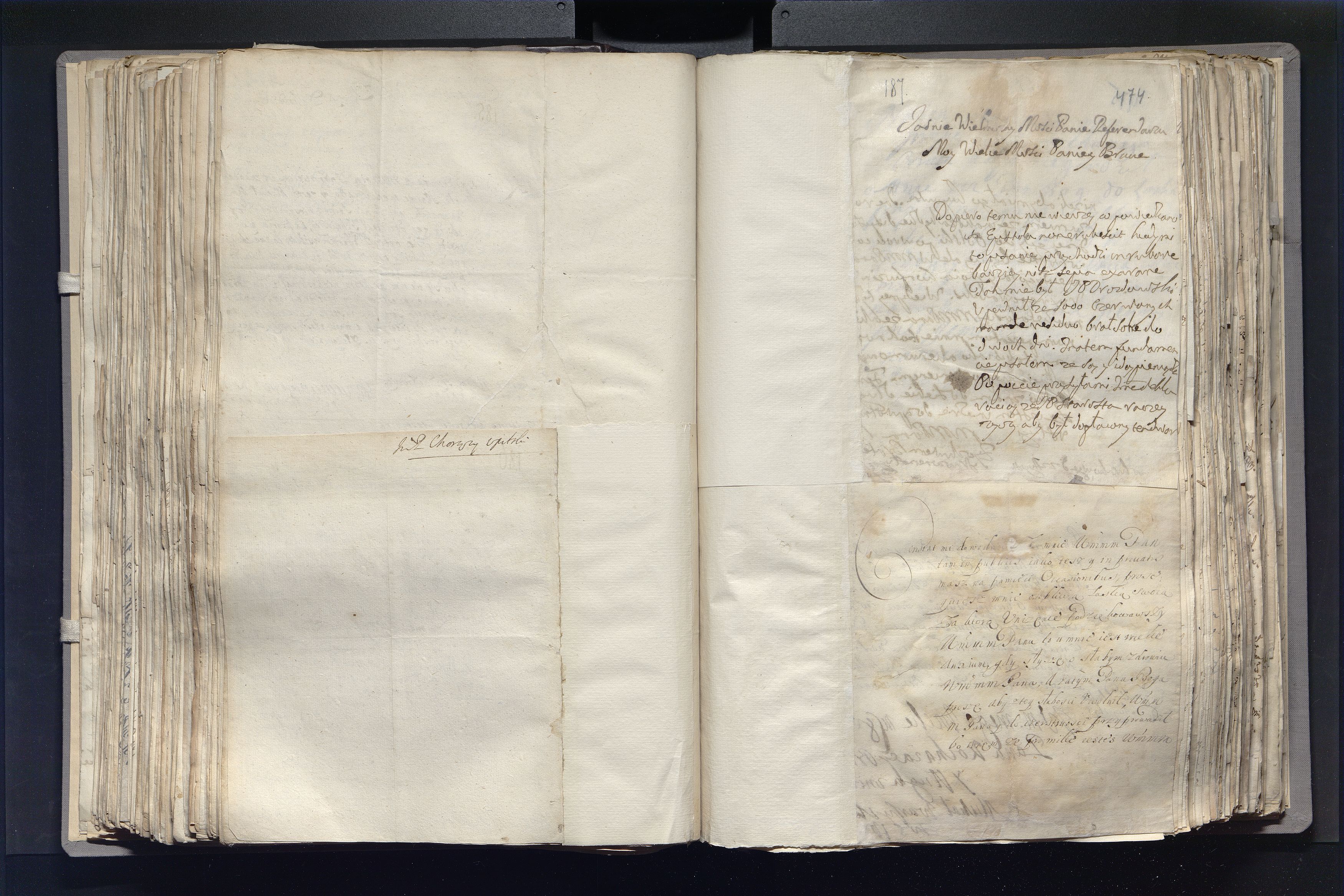 1_335_0_0_163a-24_0294