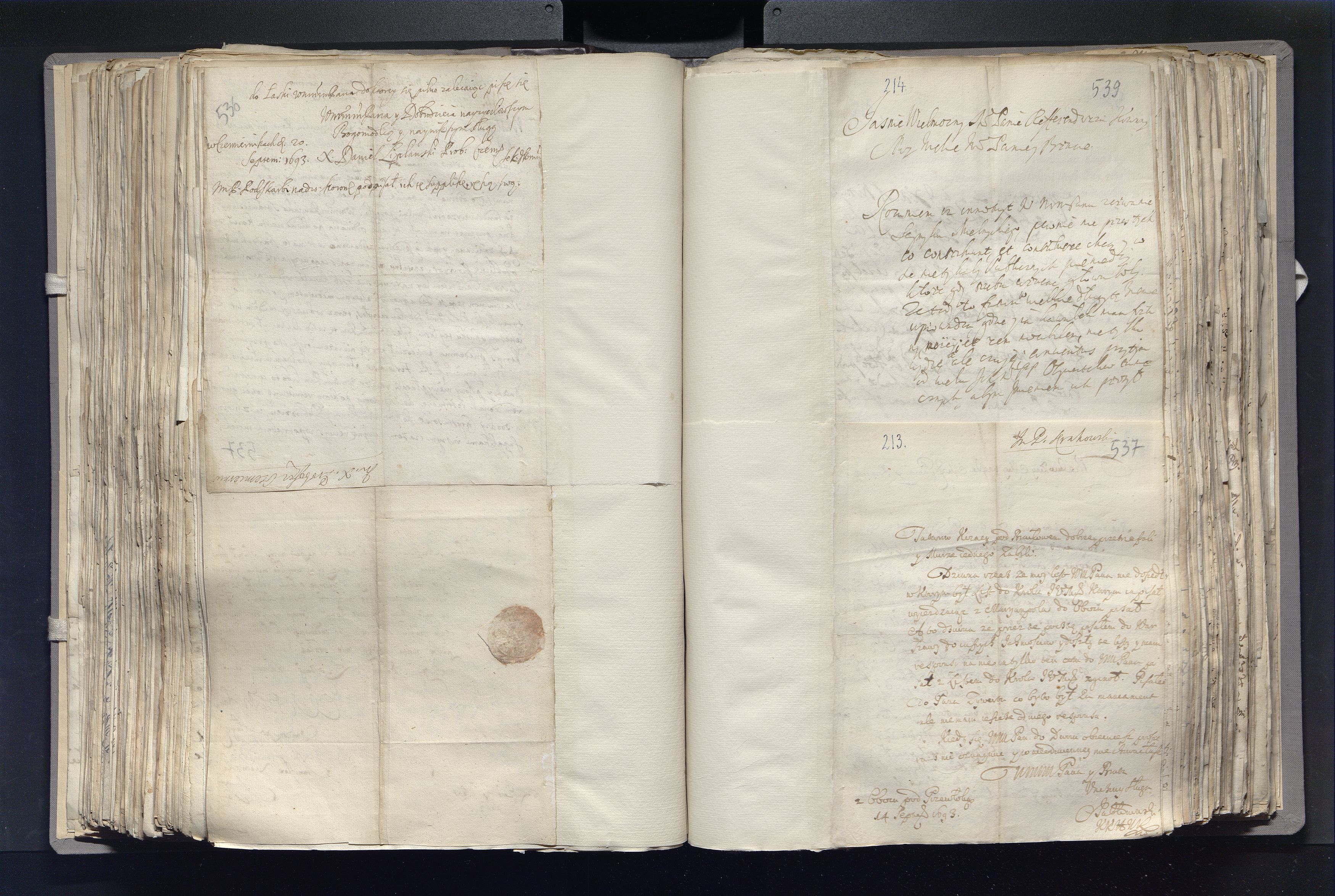 1_335_0_0_163a-24_0333