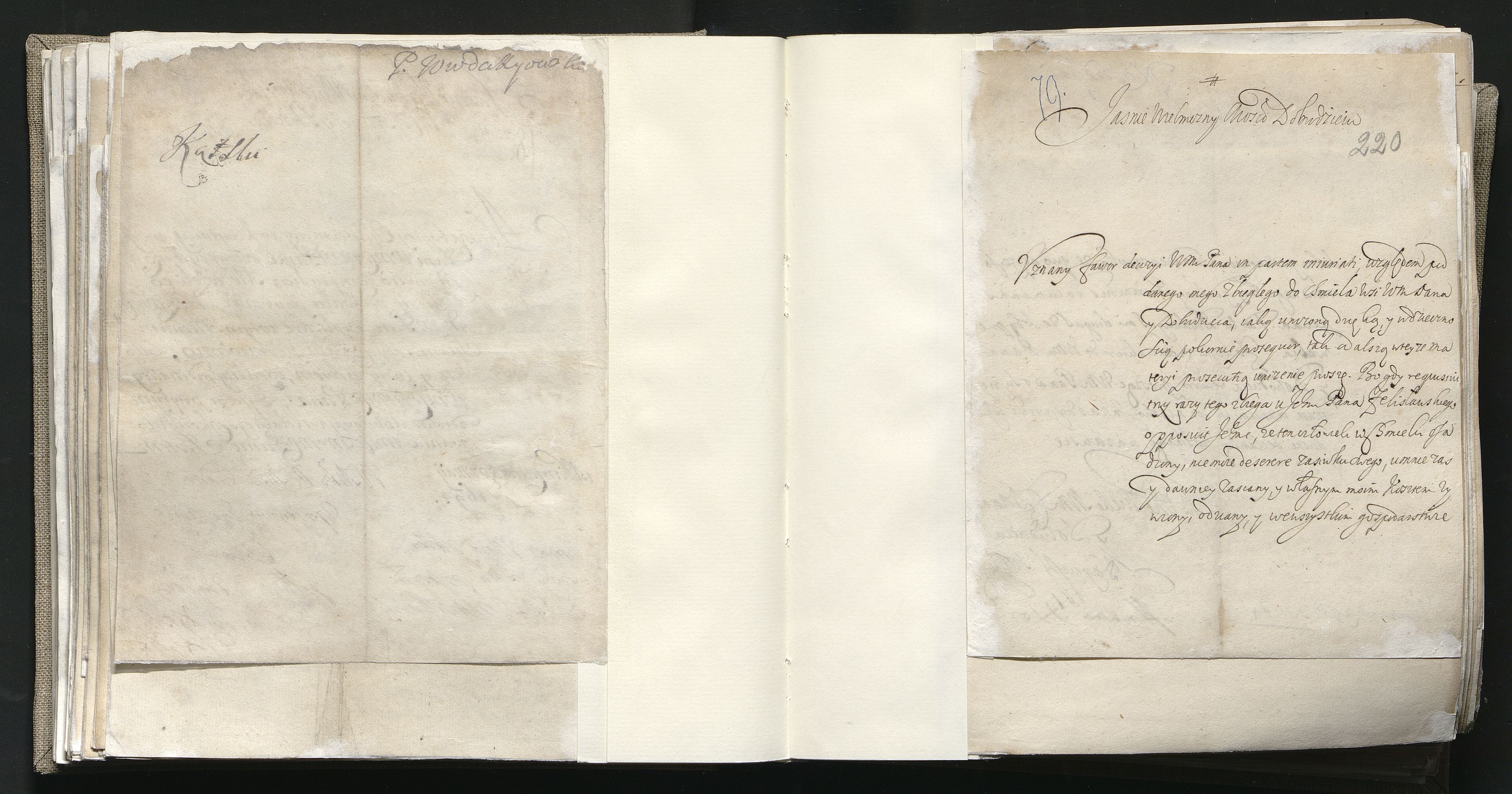 1_335_0_0_163a-25_0142