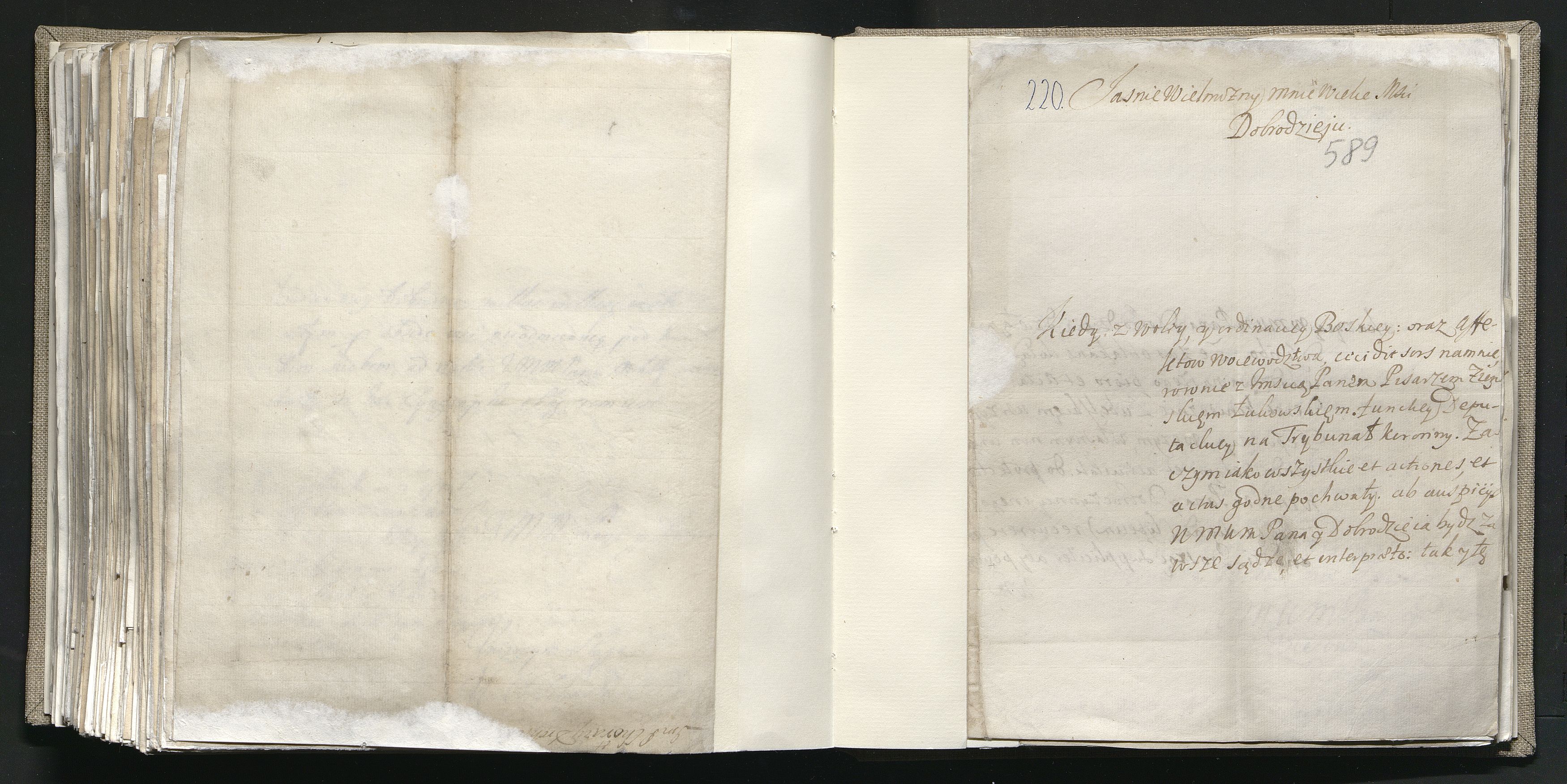 1_335_0_0_163a-25_0393