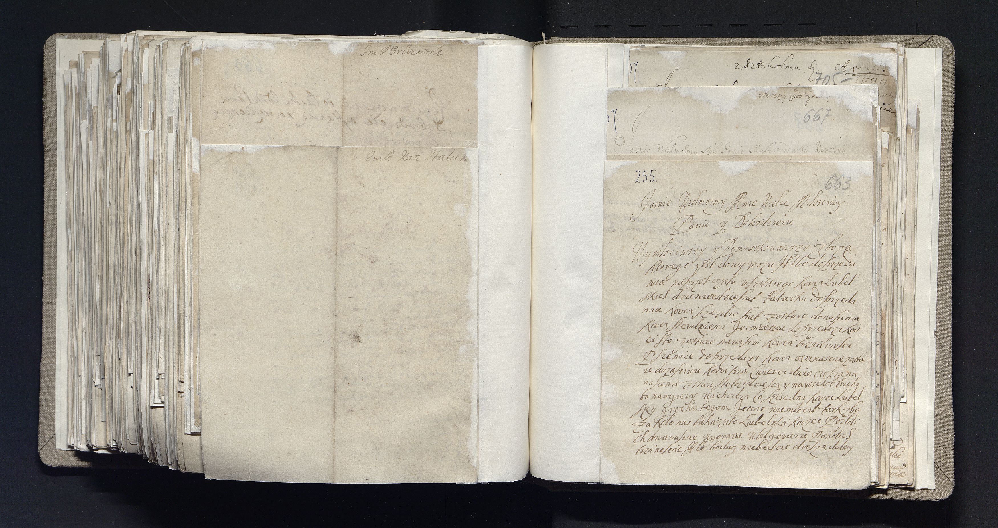 1_335_0_0_163a-28_0449