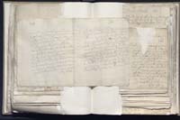 1_335_0_0_163a-29_0219