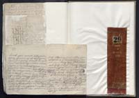 1_335_0_0_163a-29_0431