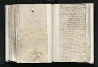 1_335_0_0_163a-33_0484