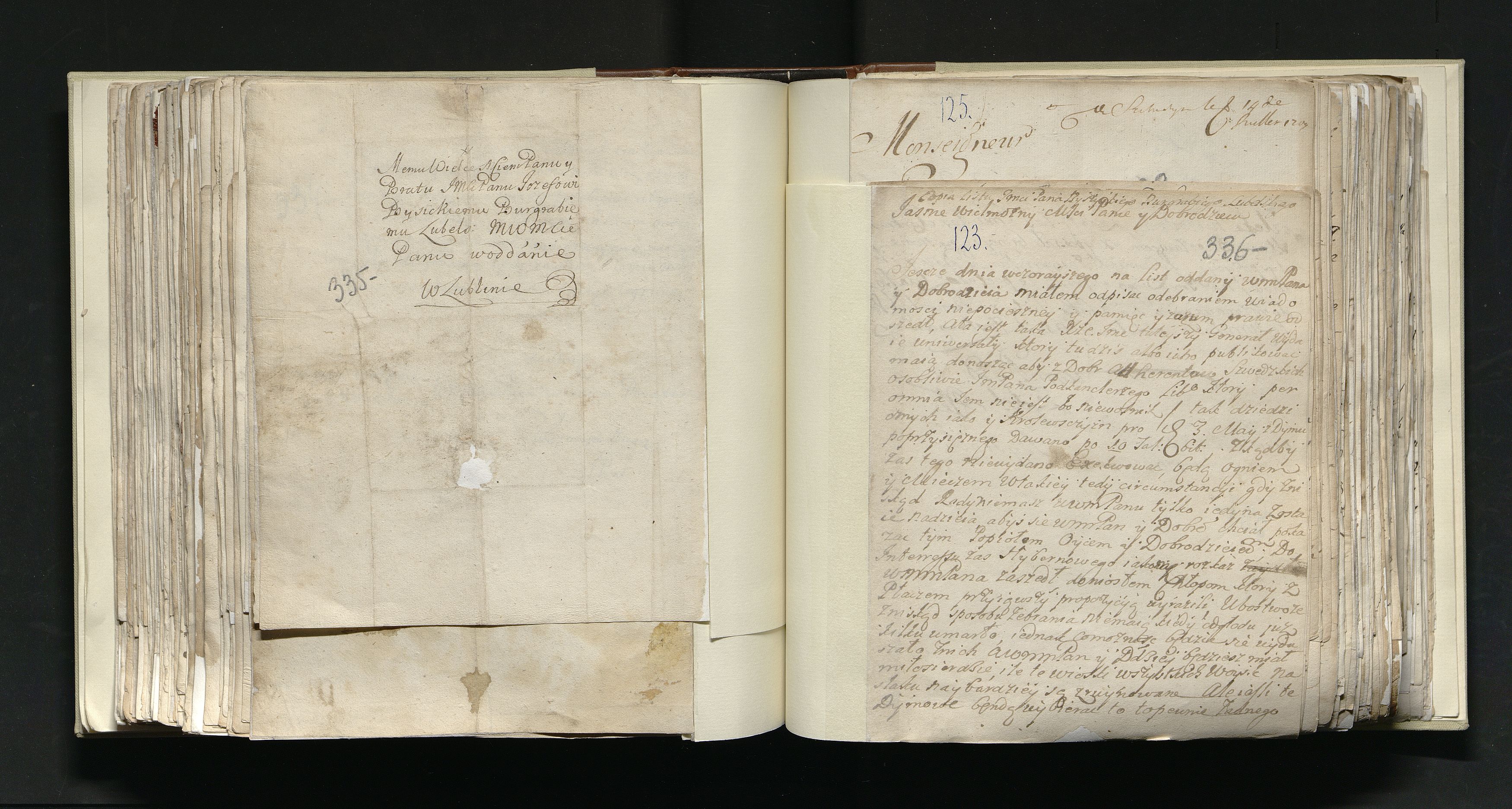 1_335_0_0_163a-34_0216