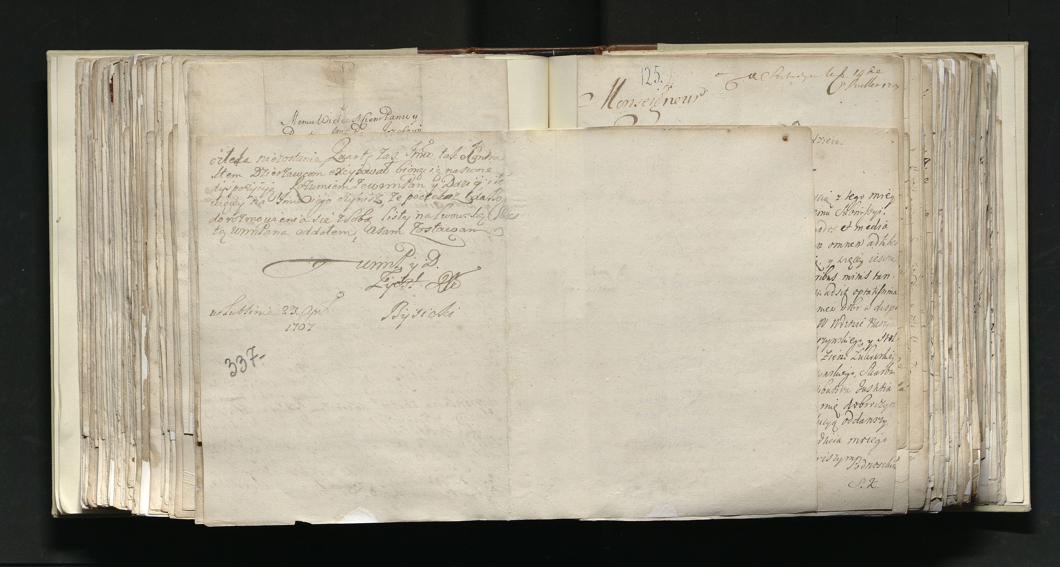 1_335_0_0_163a-34_0217