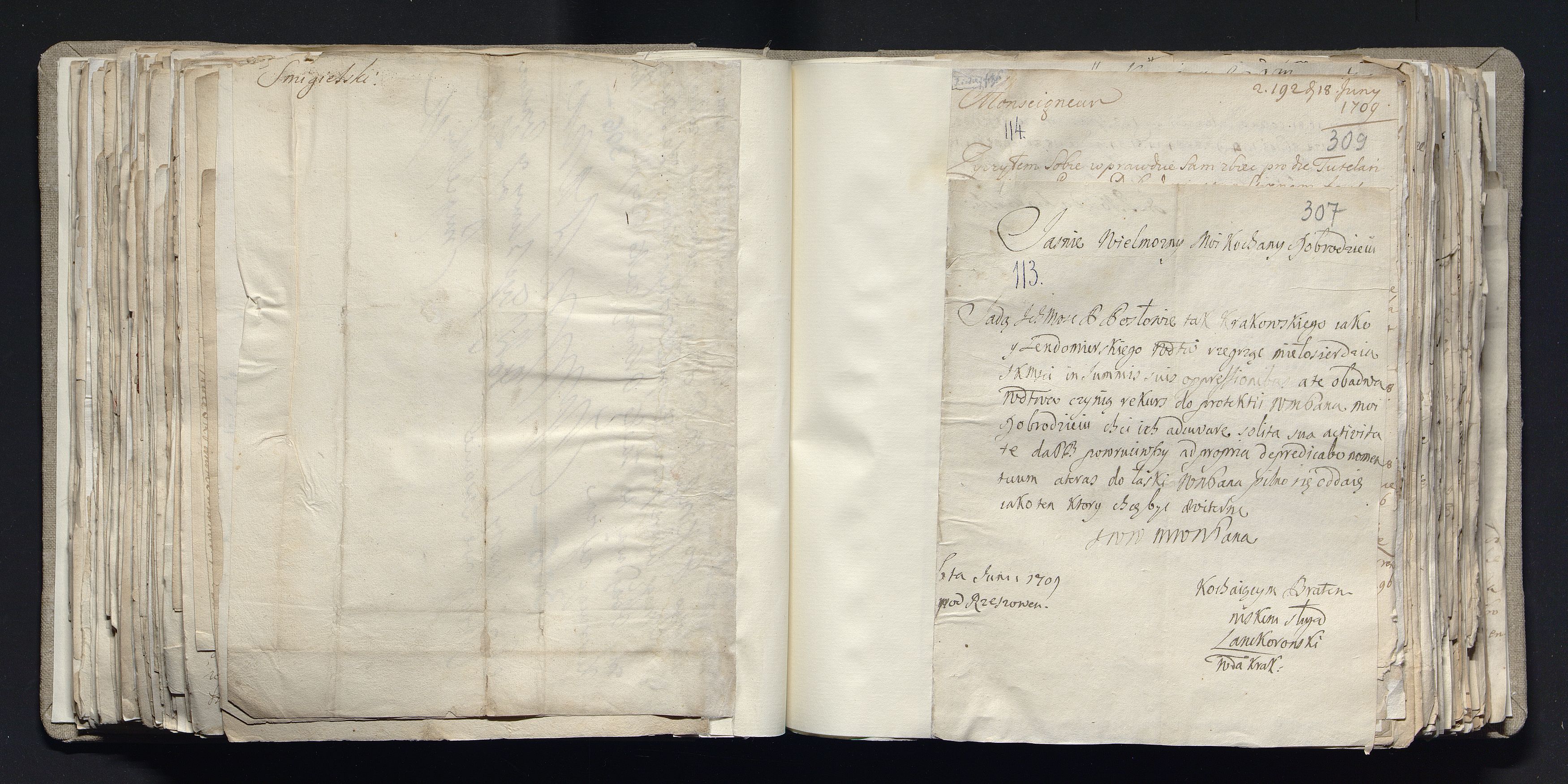 1_335_0_0_163a-39_0194