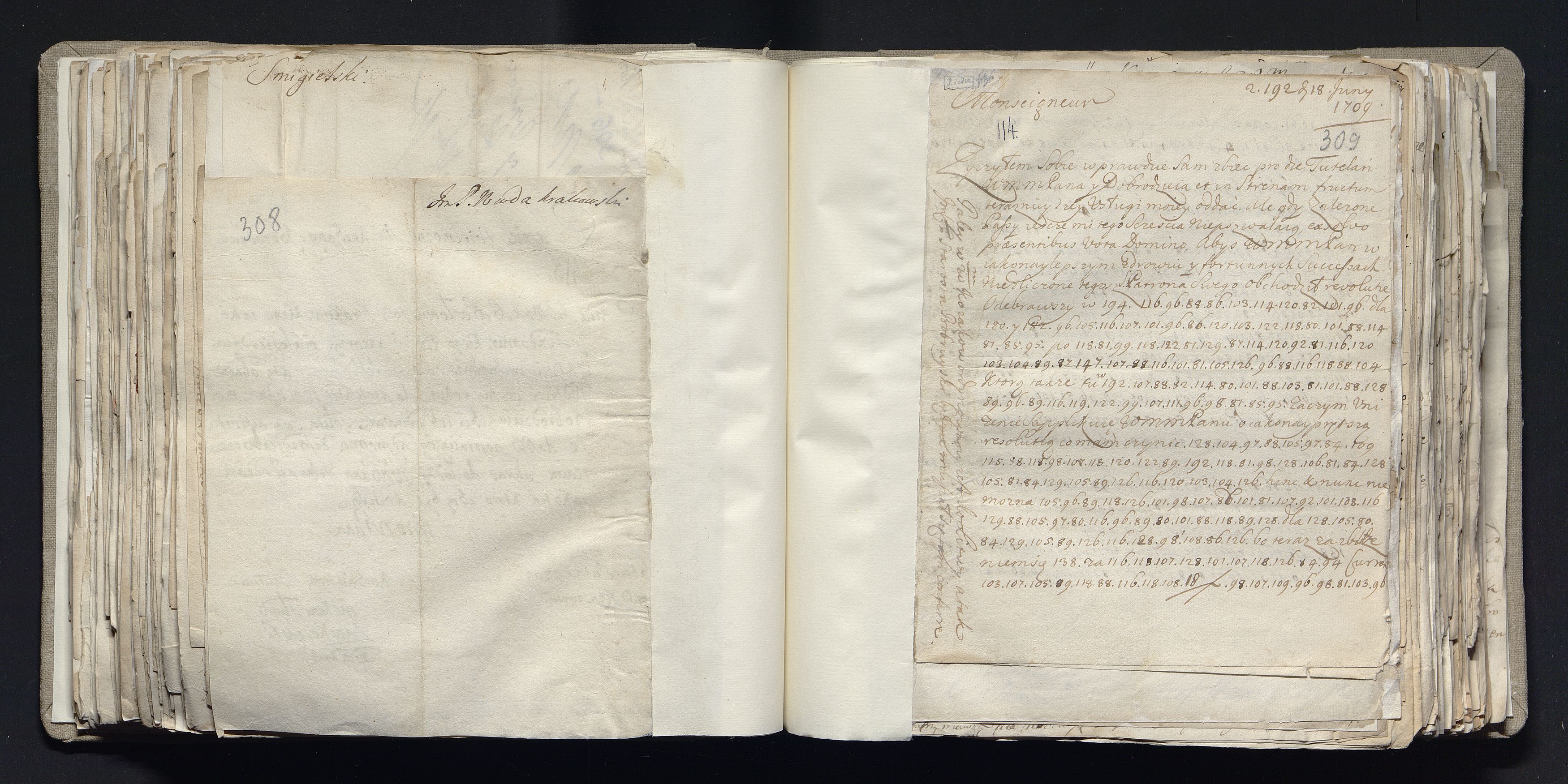 1_335_0_0_163a-39_0195