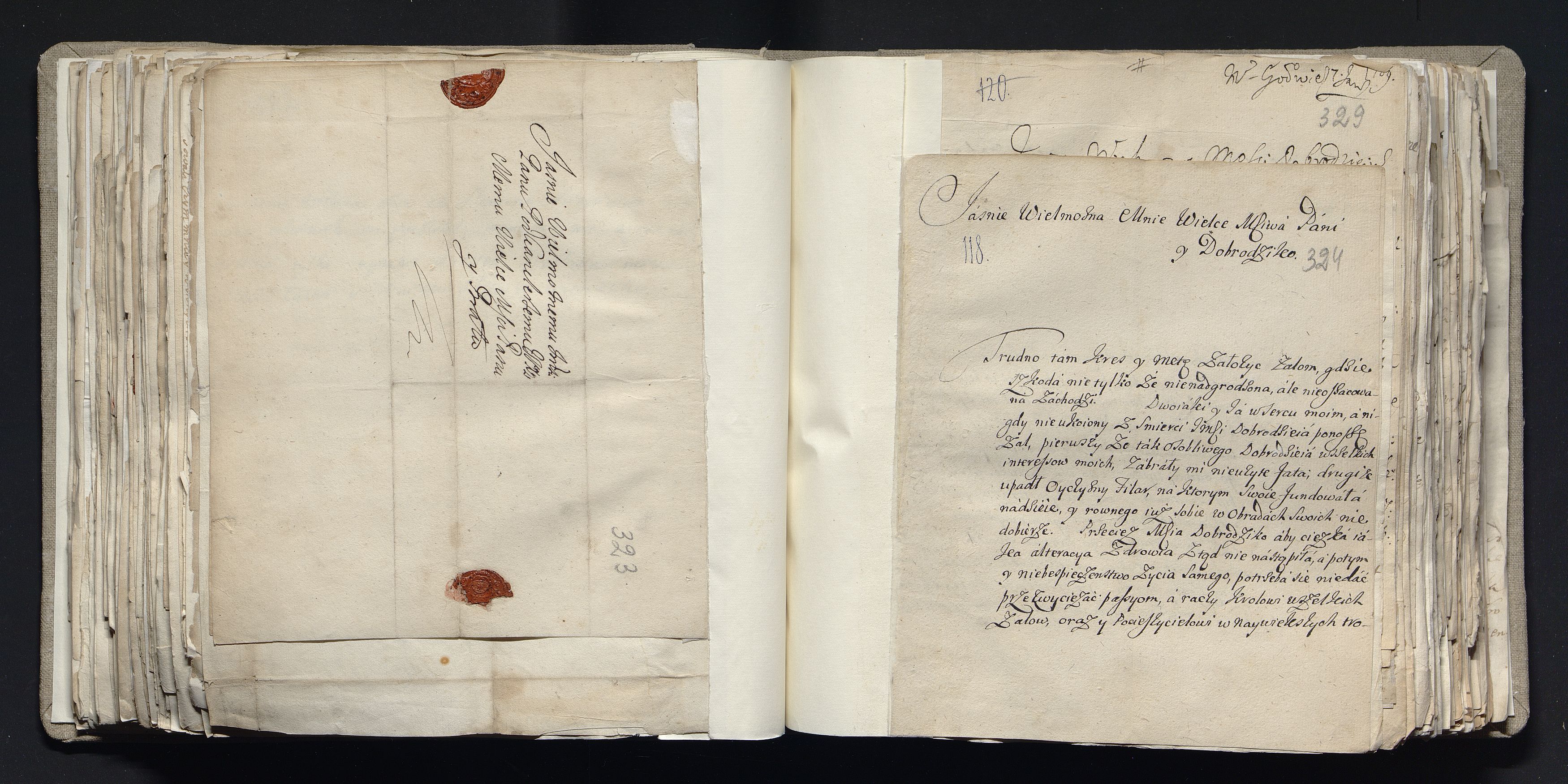 1_335_0_0_163a-39_0202