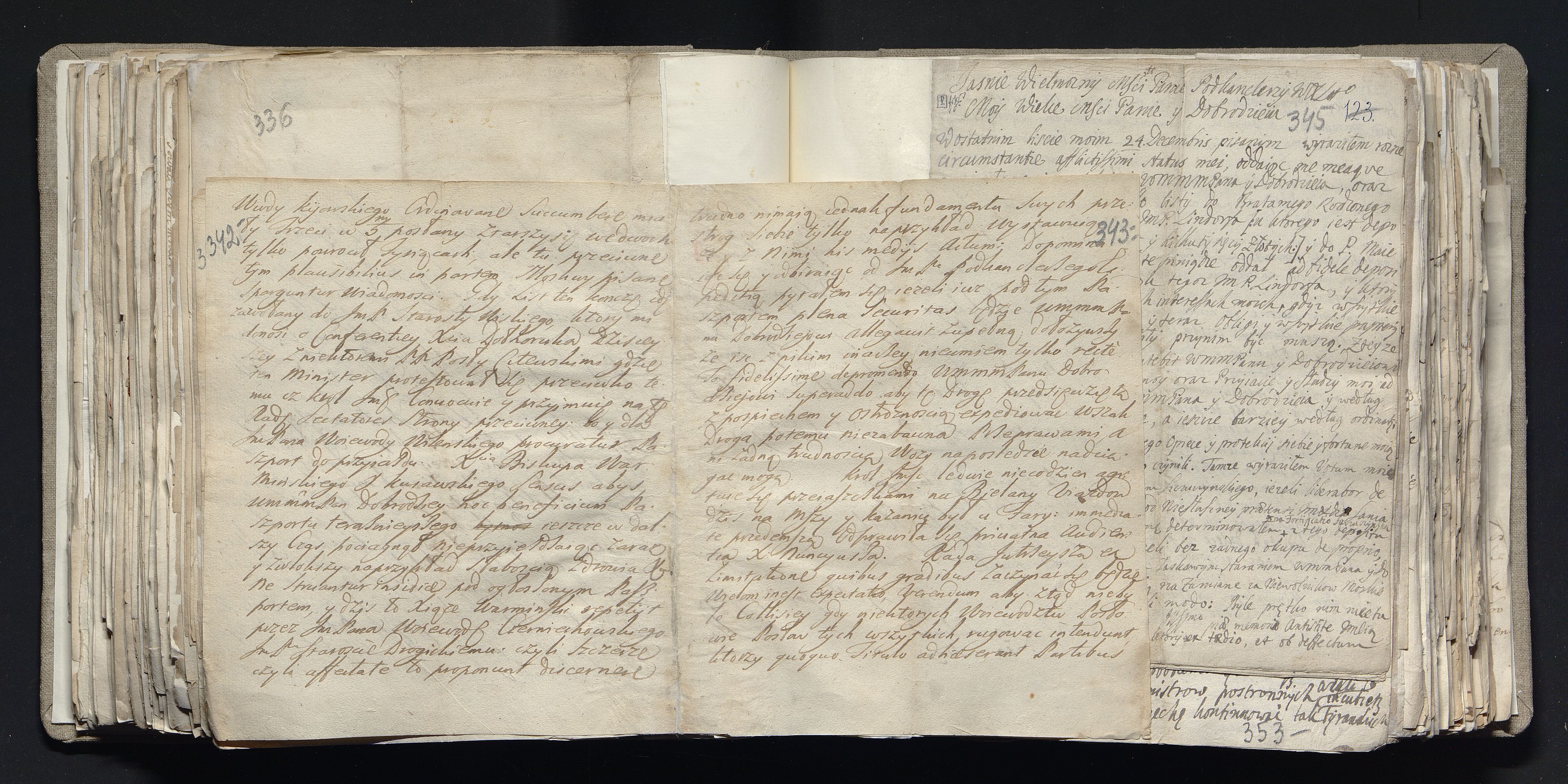 1_335_0_0_163a-39_0213