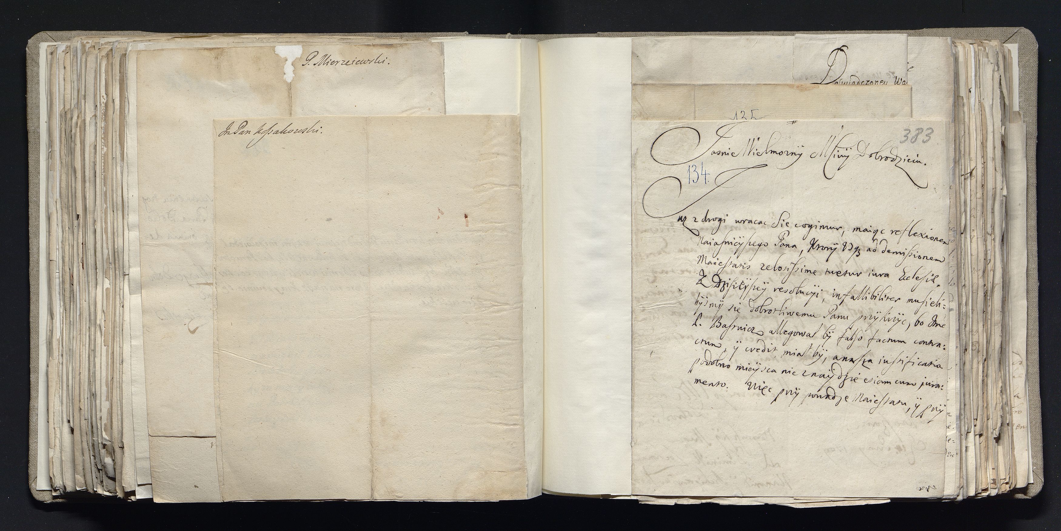 1_335_0_0_163a-39_0238