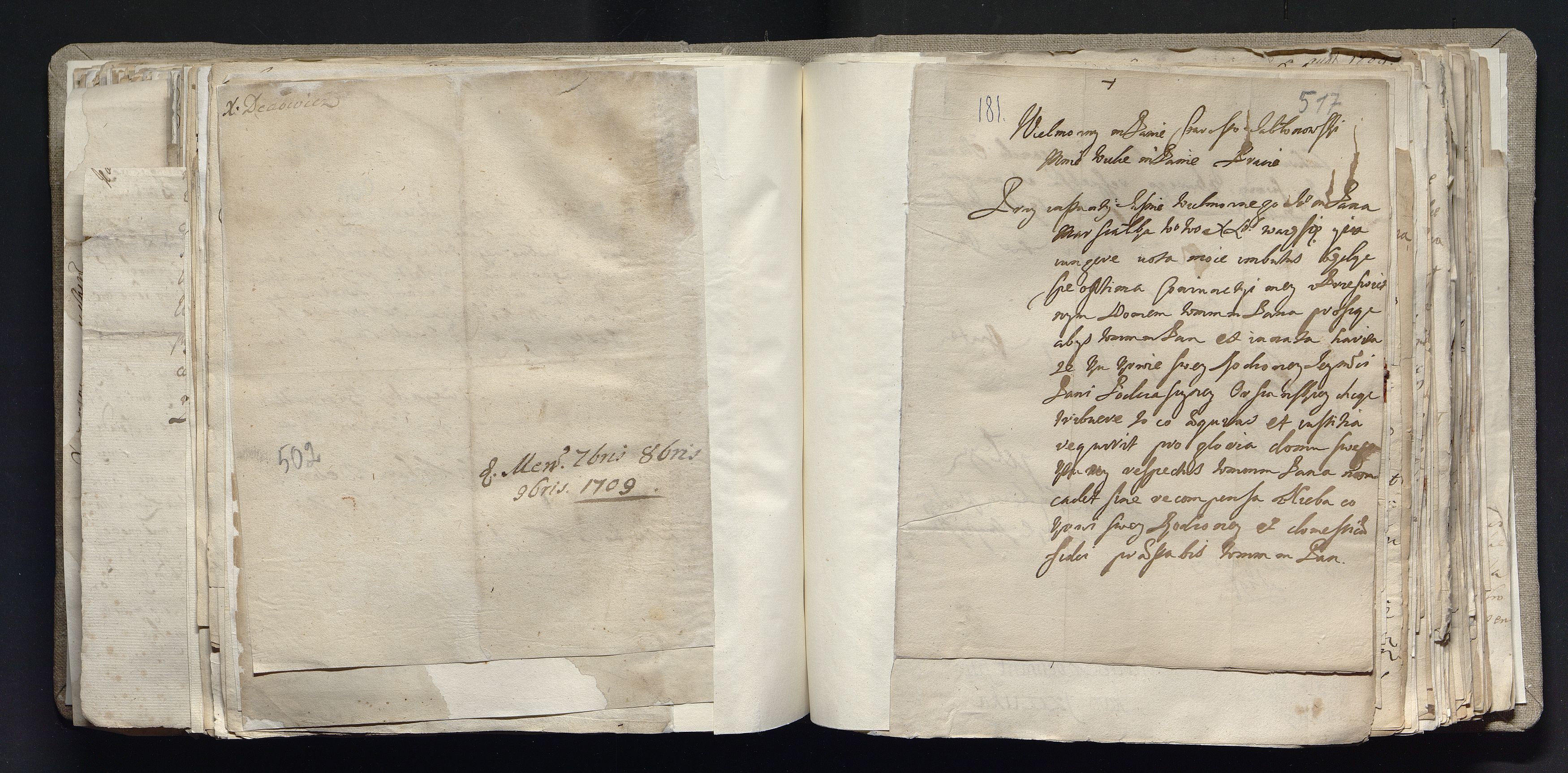 1_335_0_0_163a-39_0314