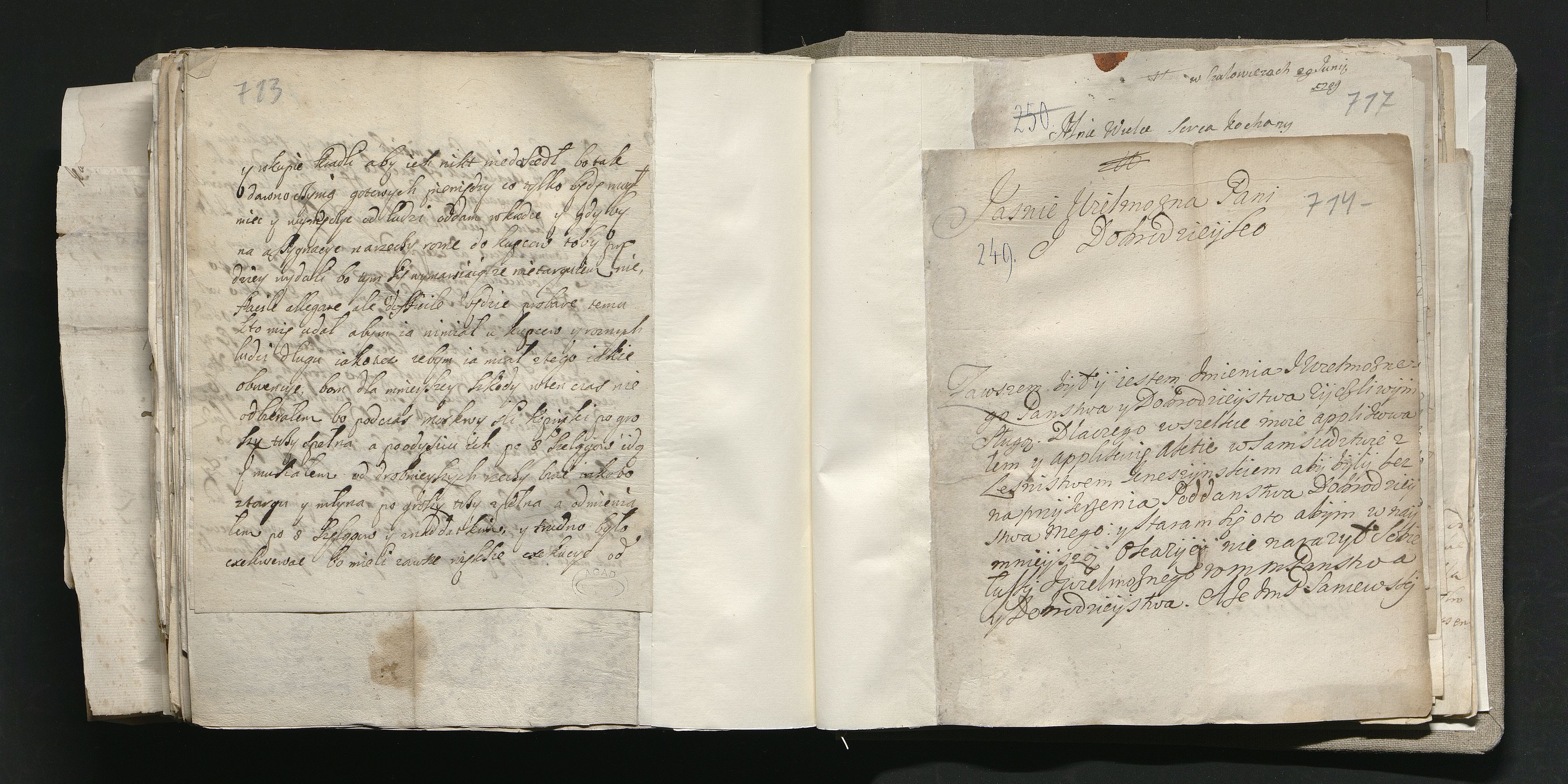 1_335_0_0_163a-39_0442