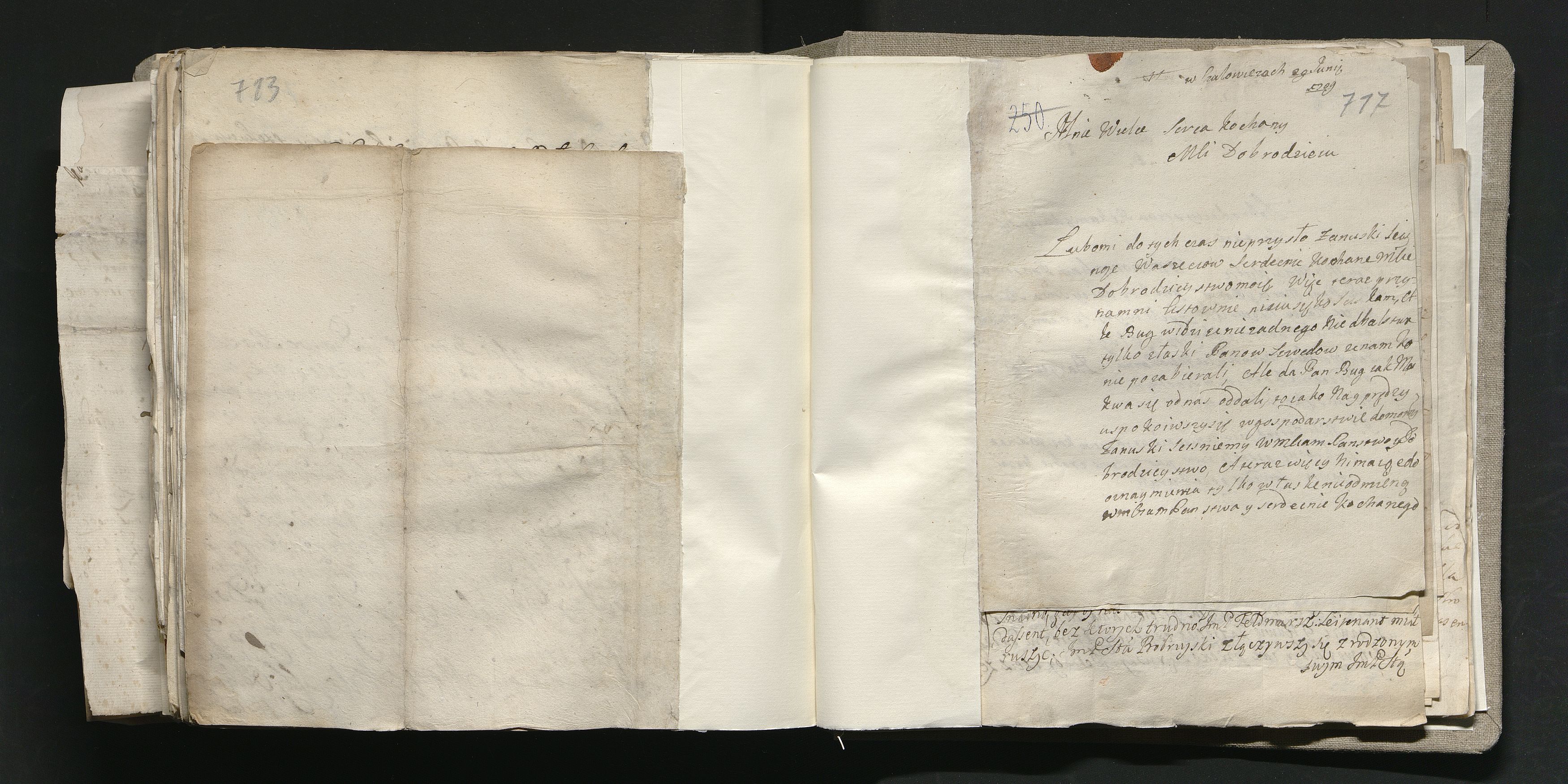 1_335_0_0_163a-39_0444