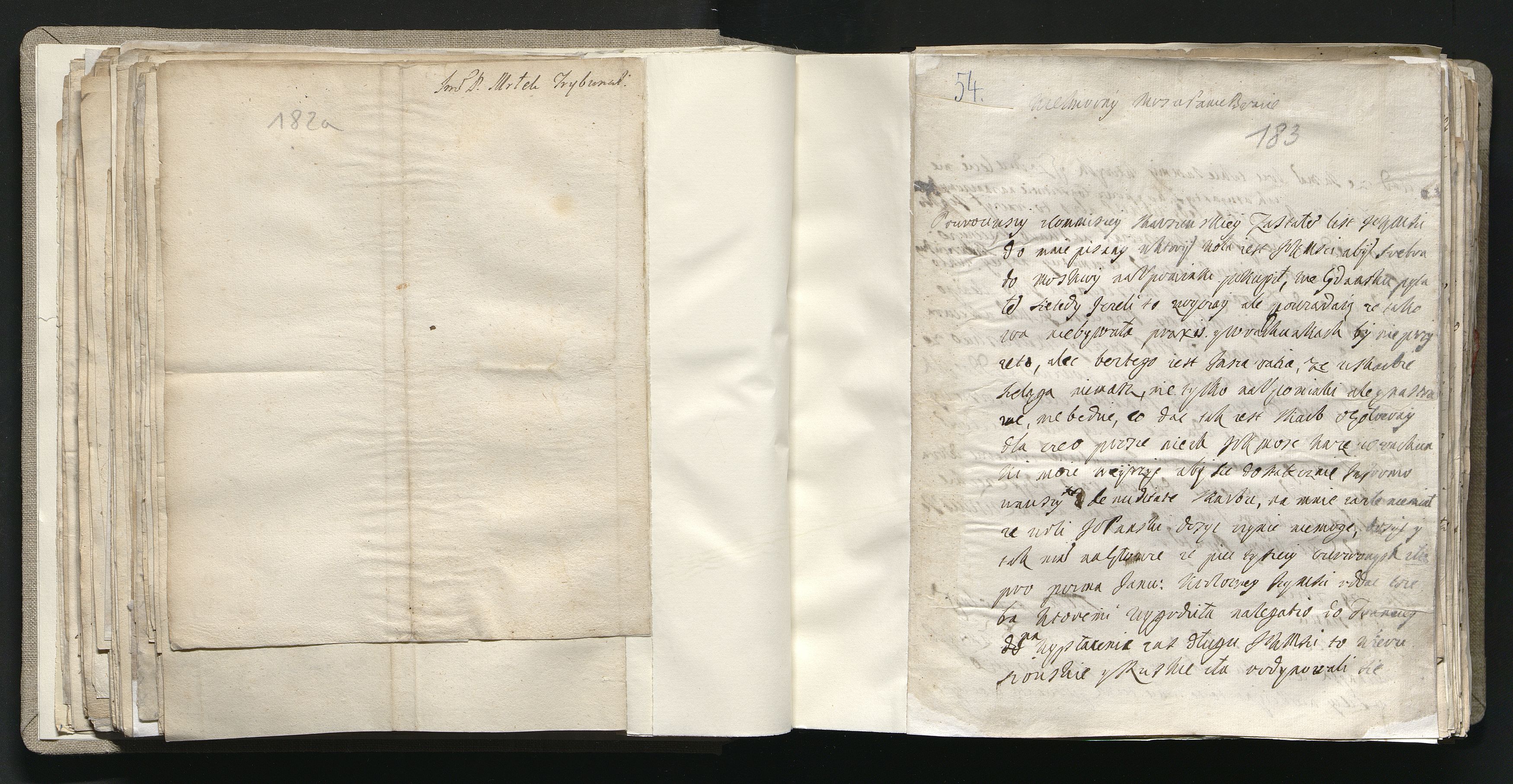 1_335_0_0_163a-41_0106