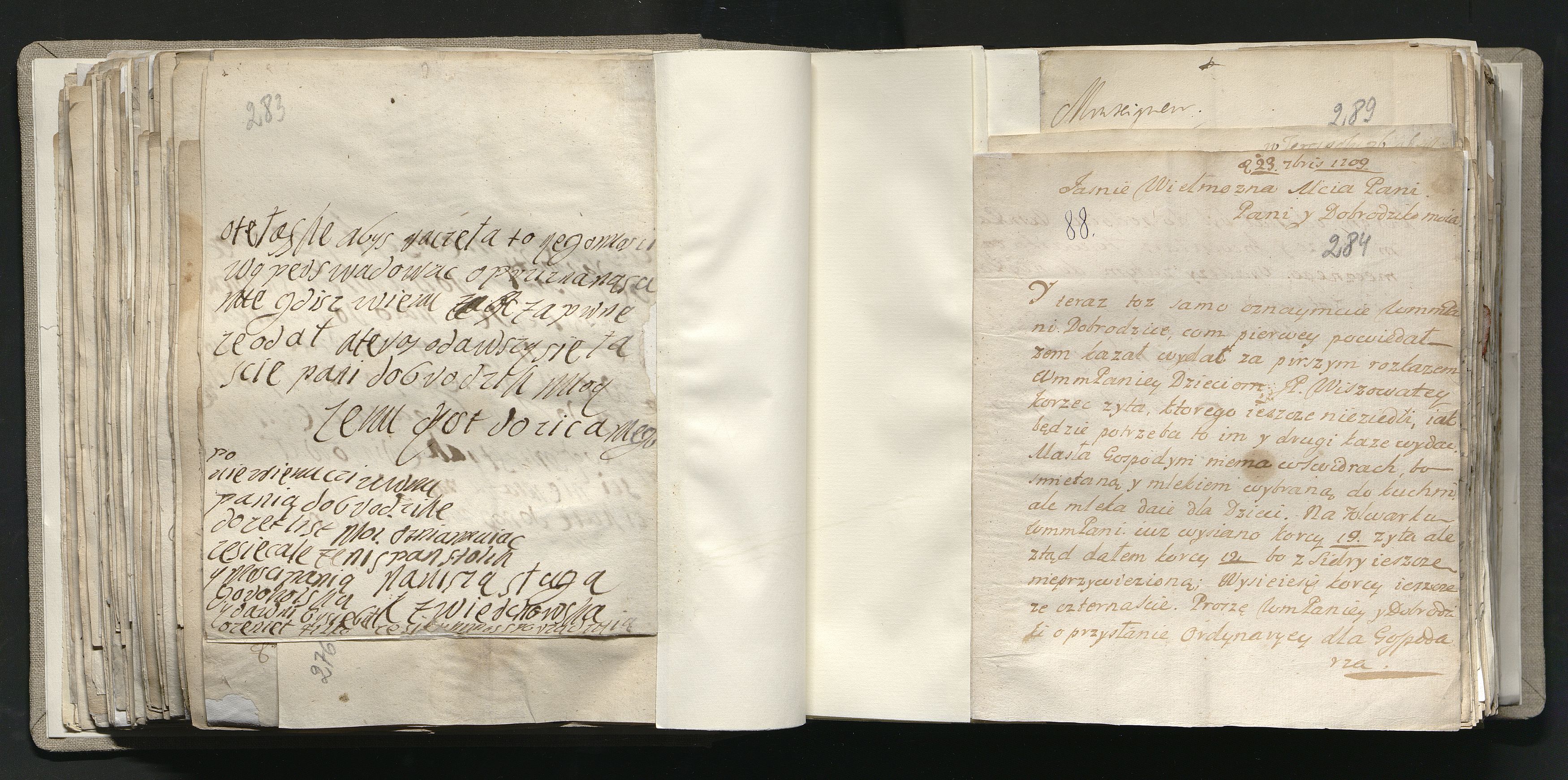 1_335_0_0_163a-41_0170