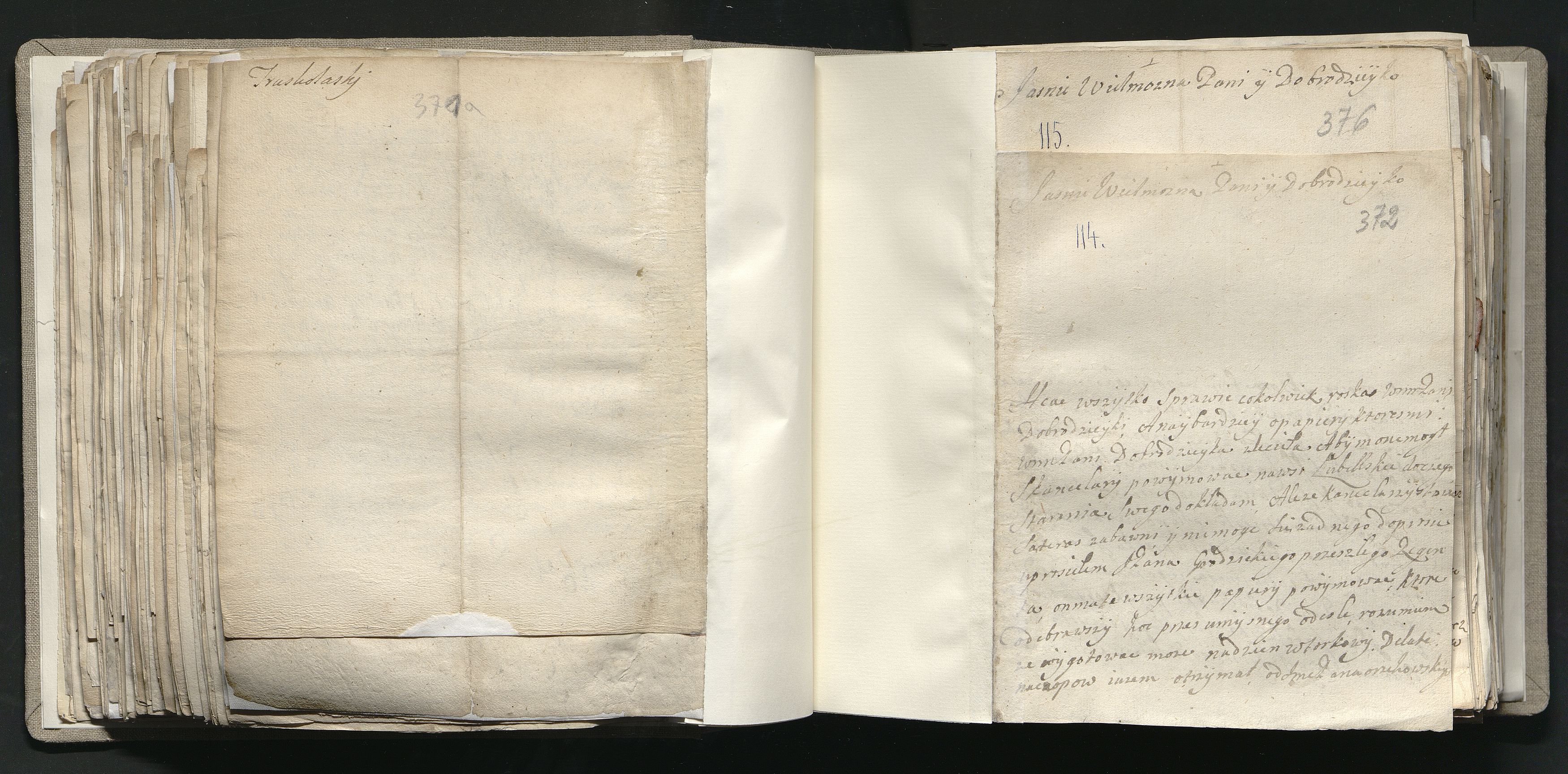 1_335_0_0_163a-41_0222