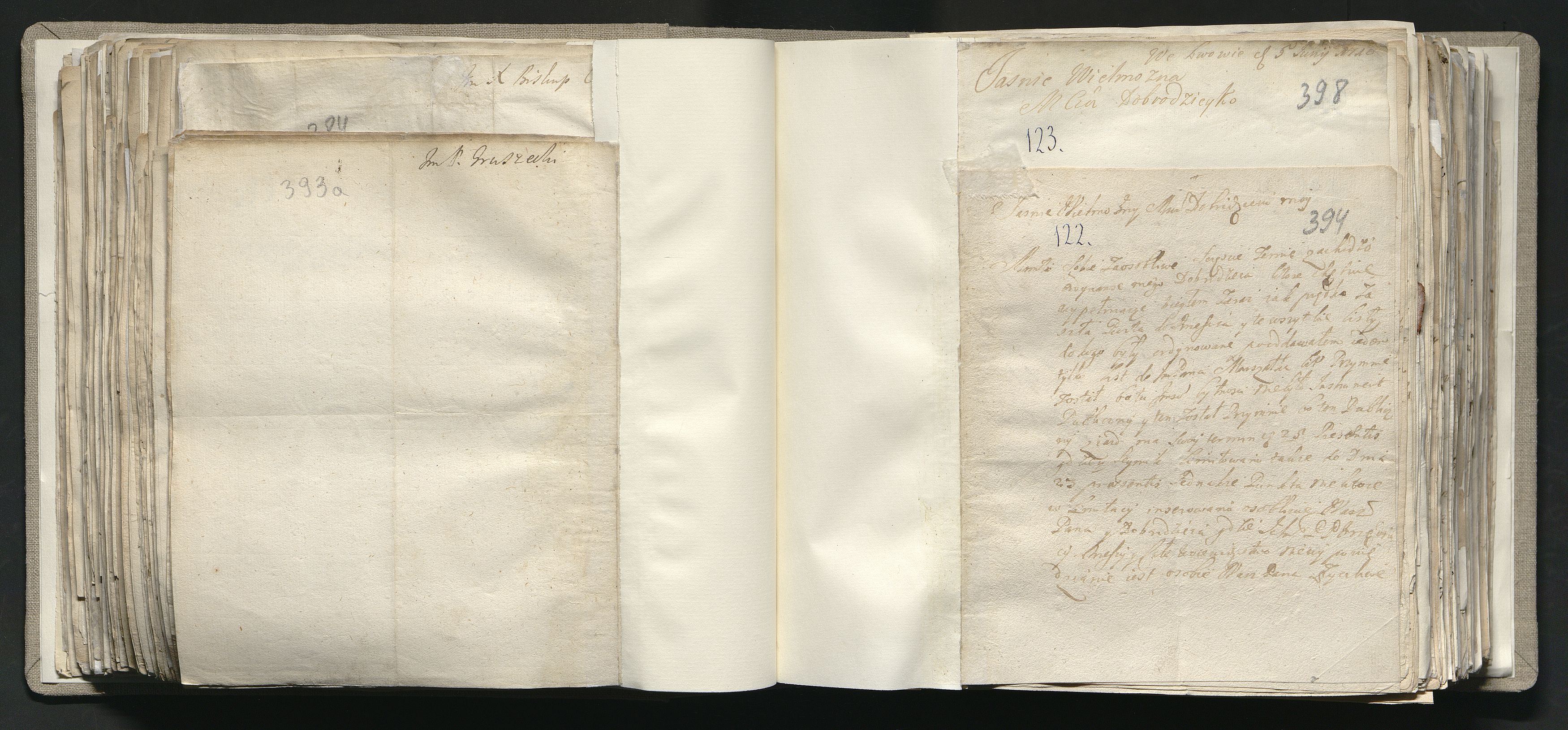 1_335_0_0_163a-41_0236