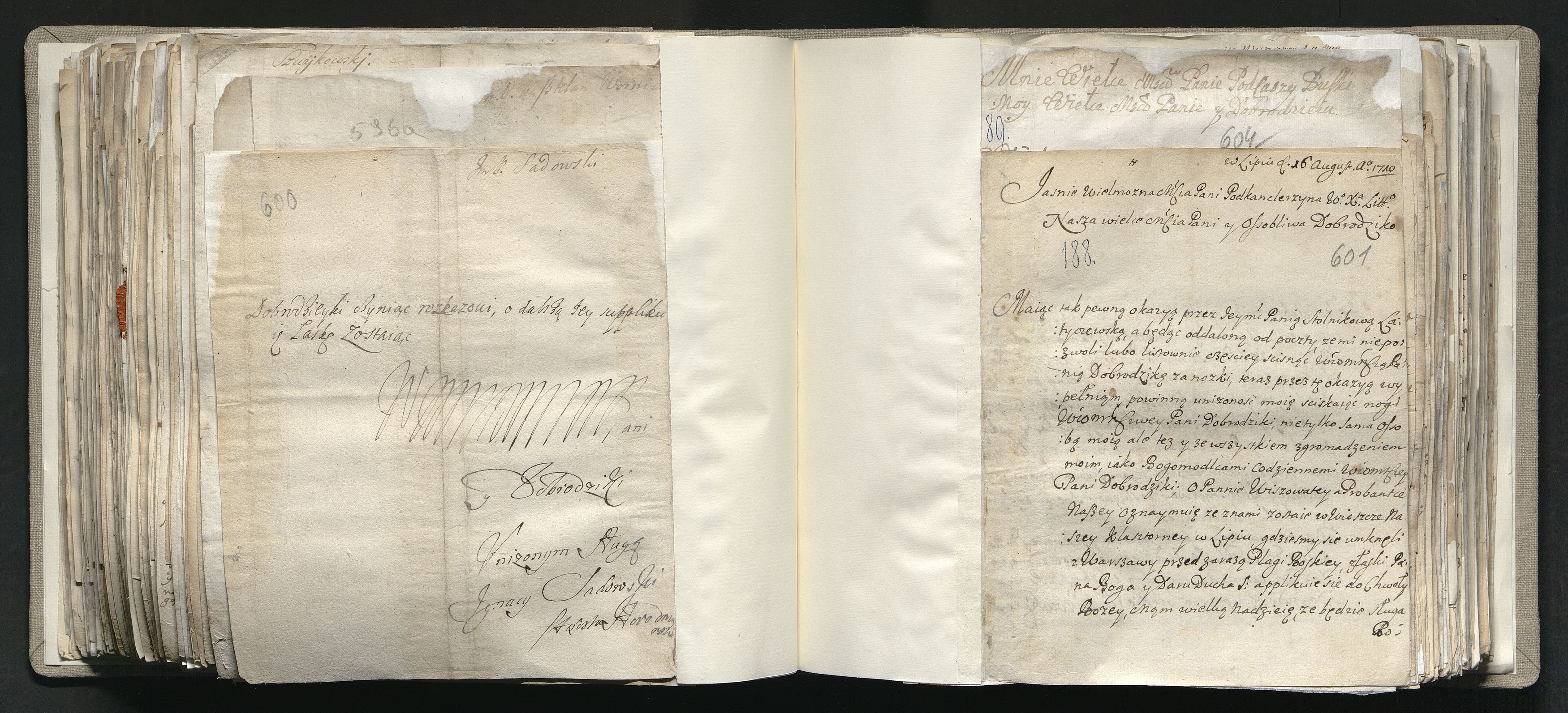 1_335_0_0_163a-41_0361