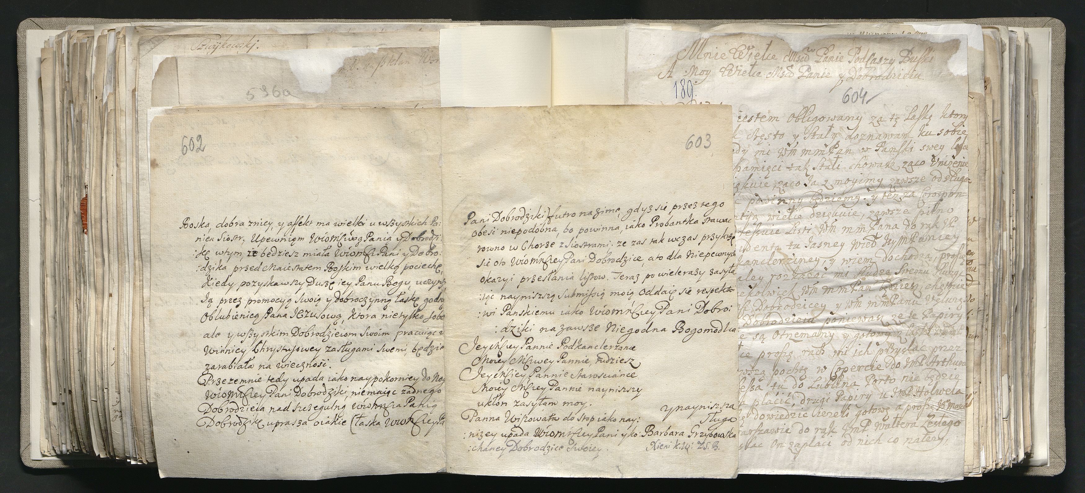 1_335_0_0_163a-41_0362