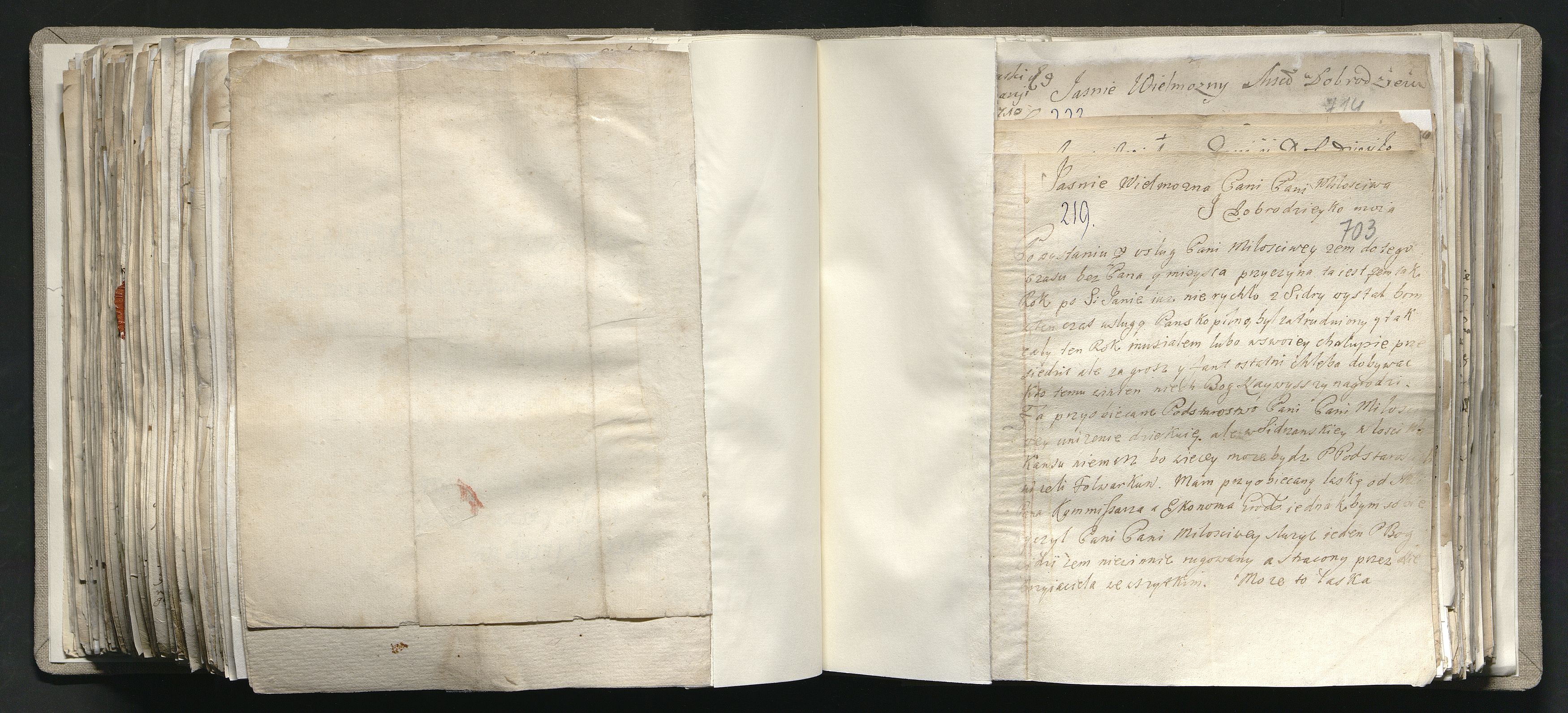 1_335_0_0_163a-41_0425