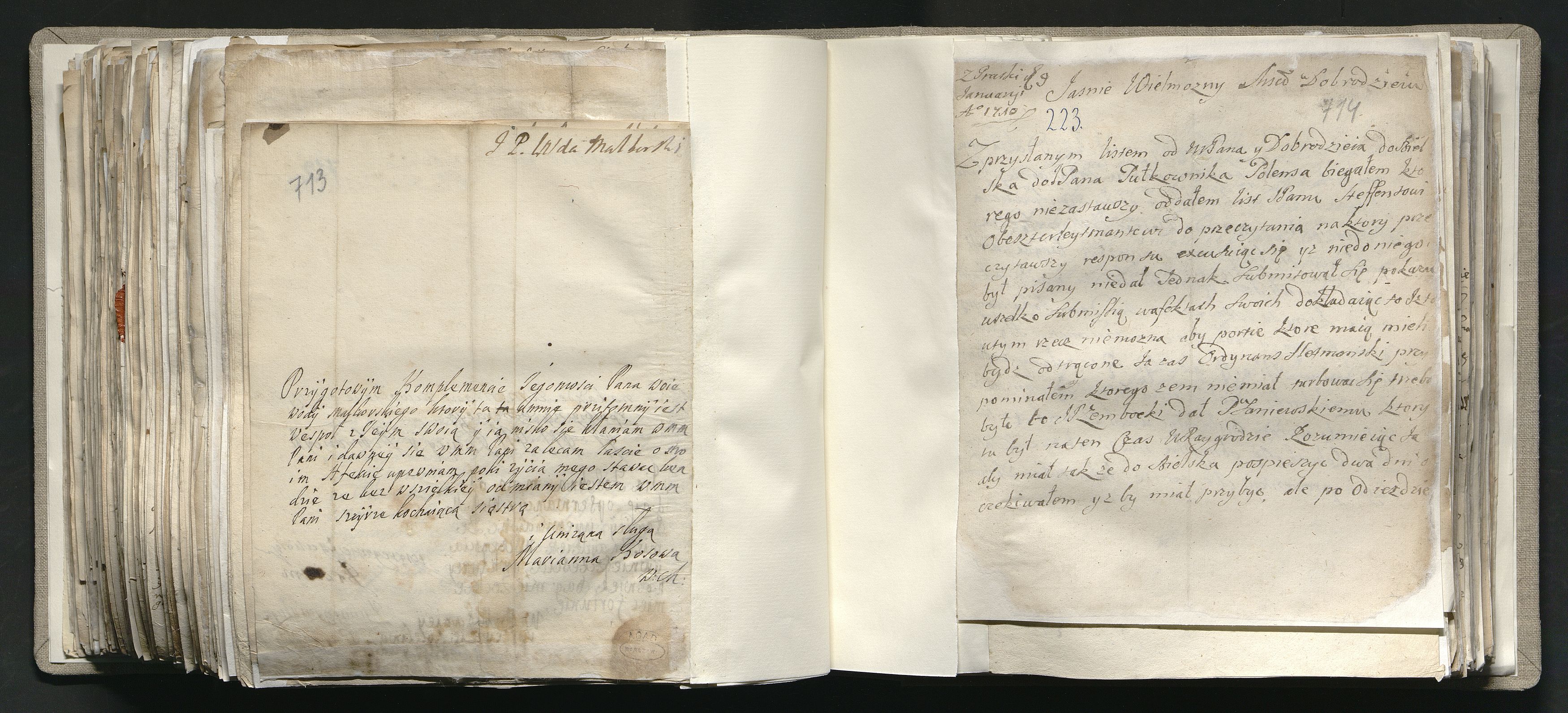 1_335_0_0_163a-41_0432