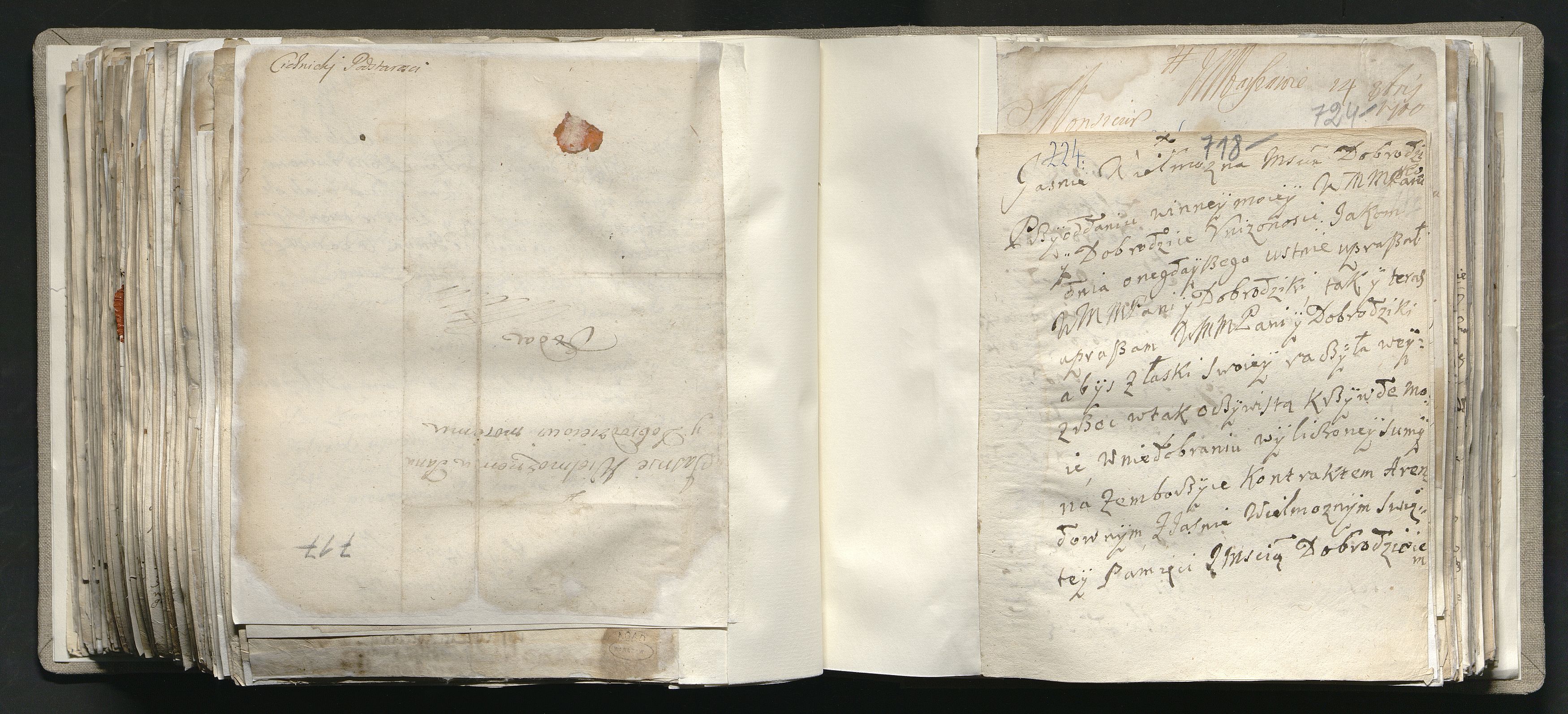 1_335_0_0_163a-41_0434