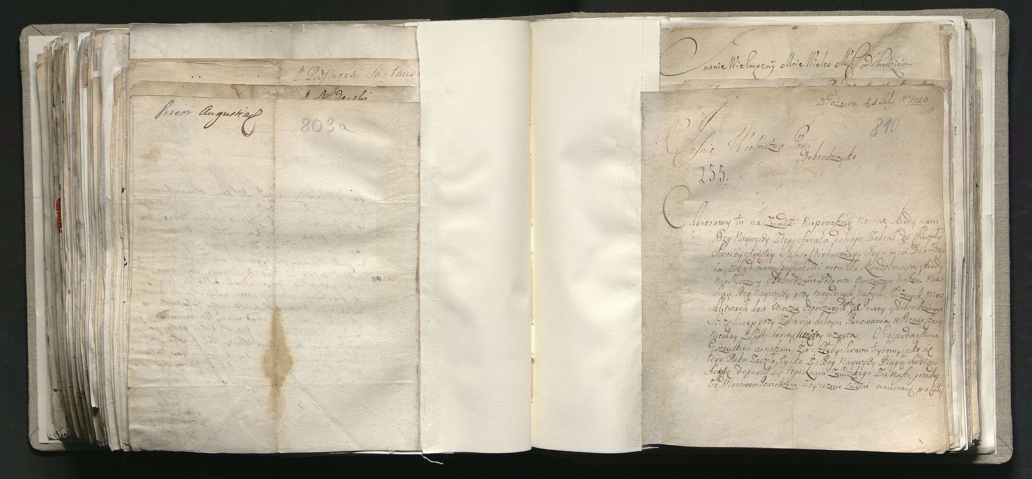 1_335_0_0_163a-41_0491