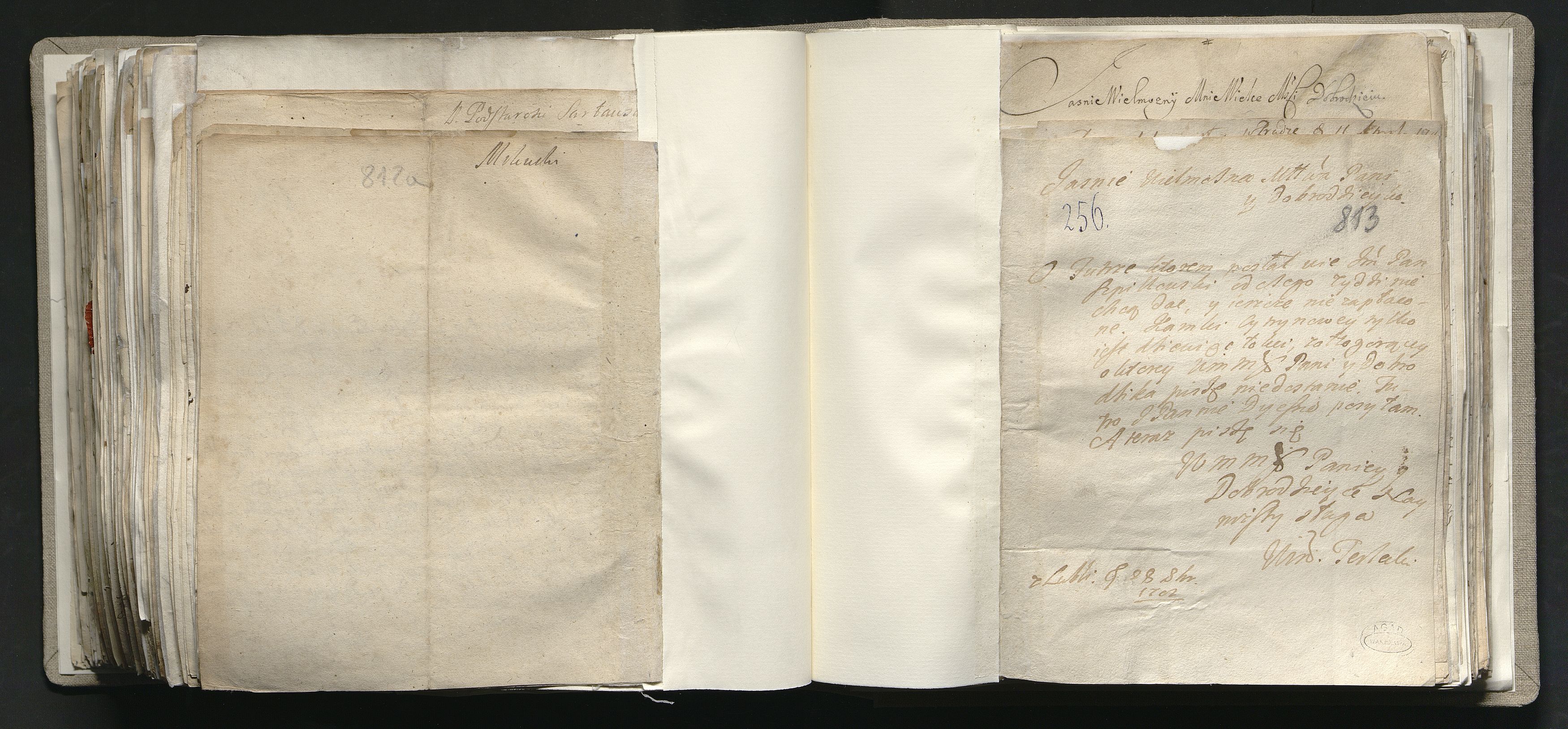 1_335_0_0_163a-41_0493