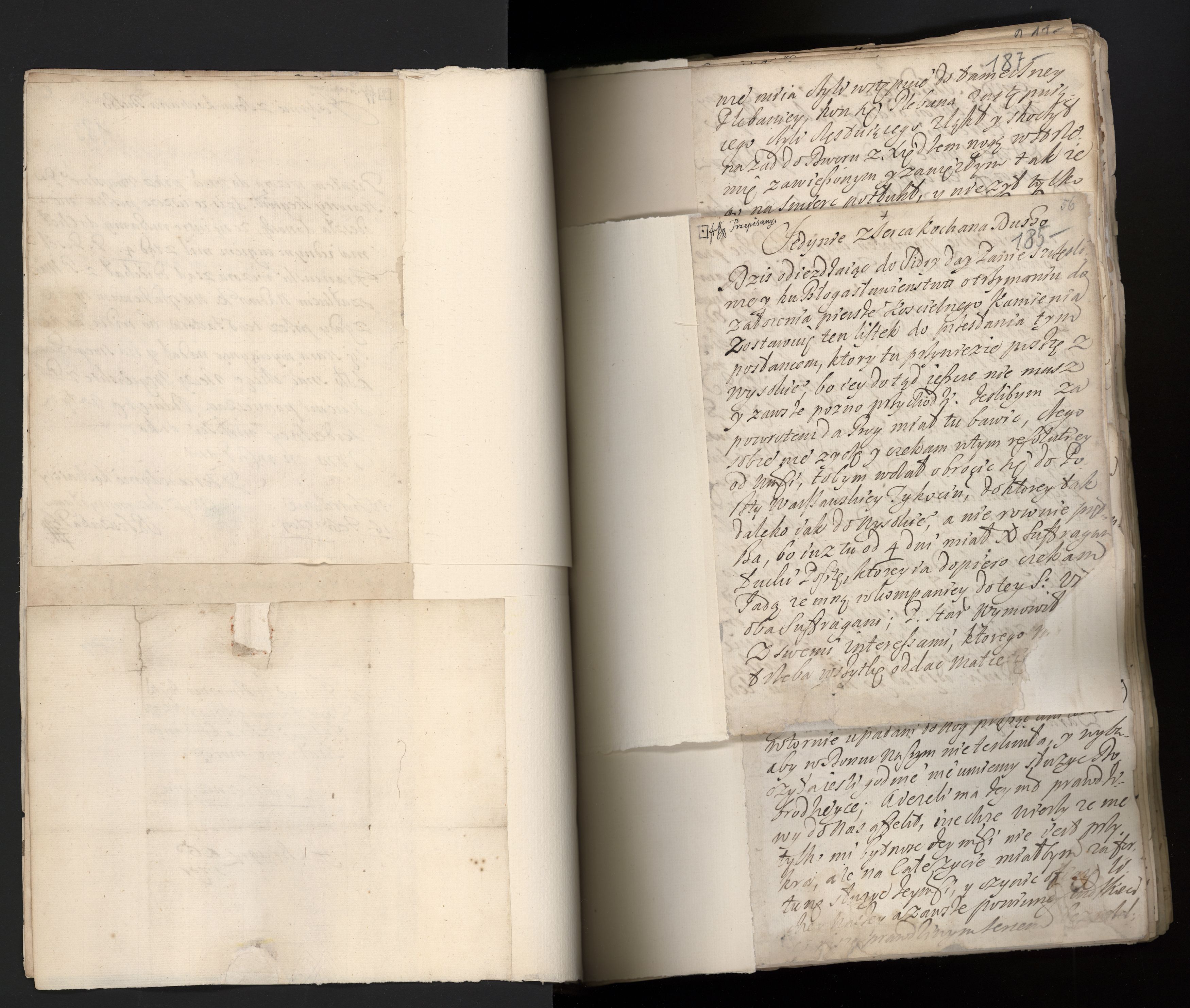 1_335_0_0_163a-42_0108