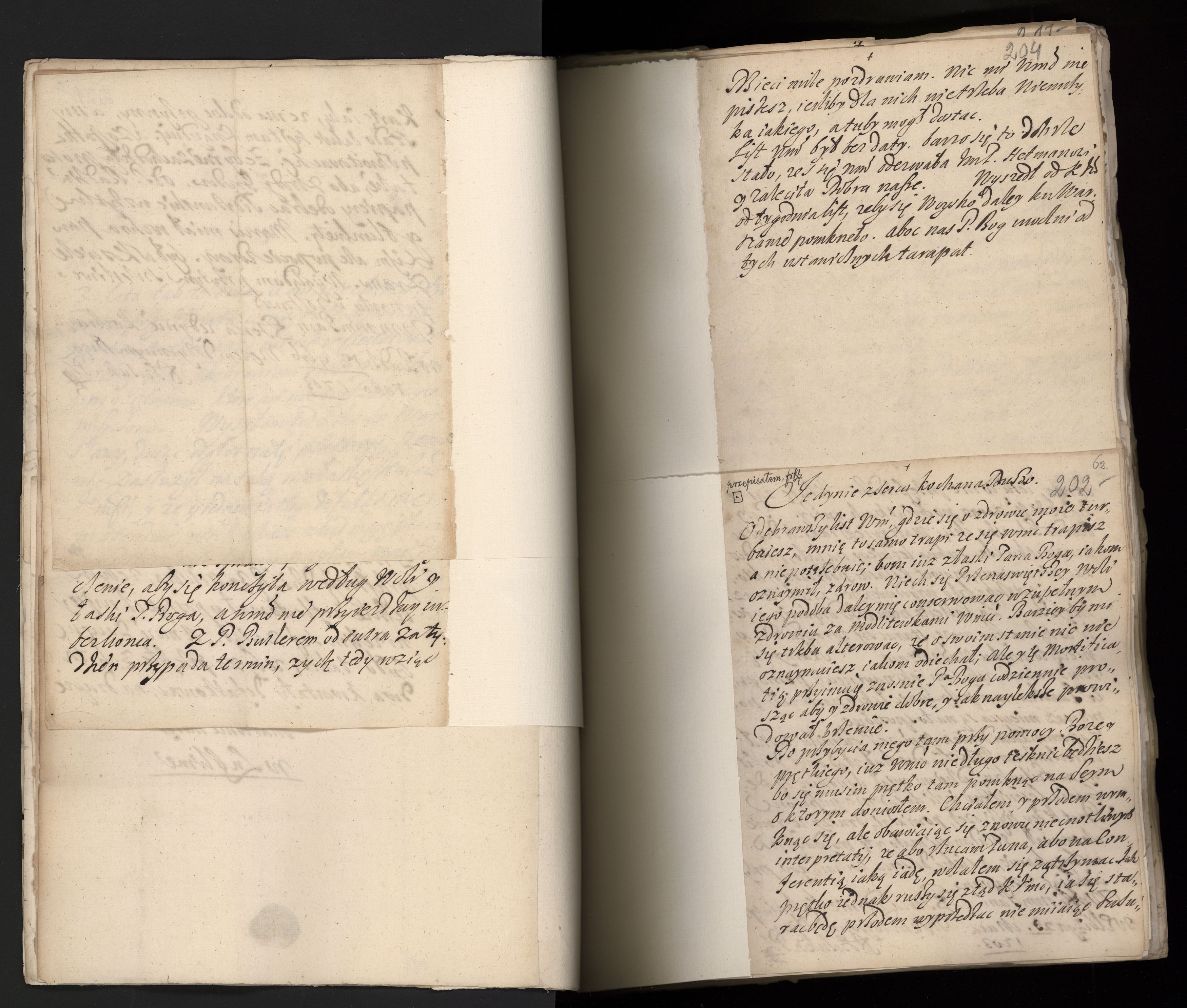 1_335_0_0_163a-42_0118