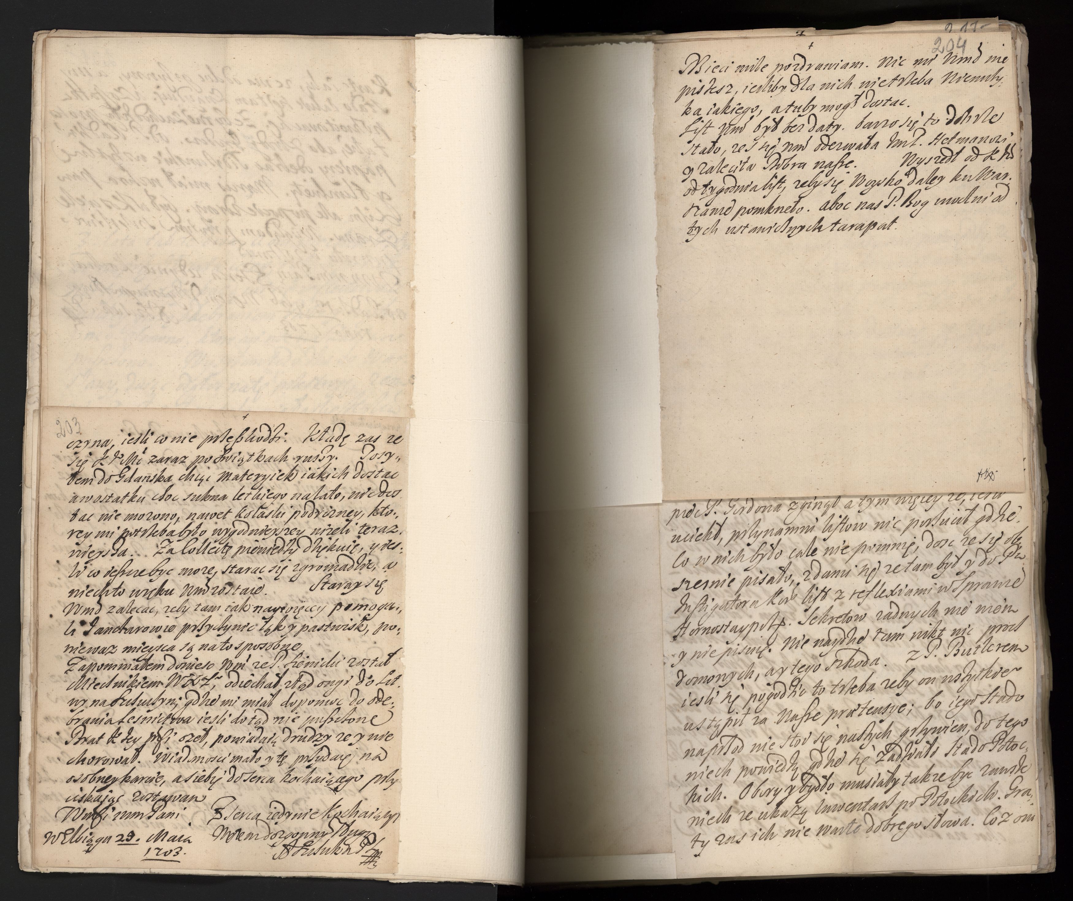 1_335_0_0_163a-42_0119