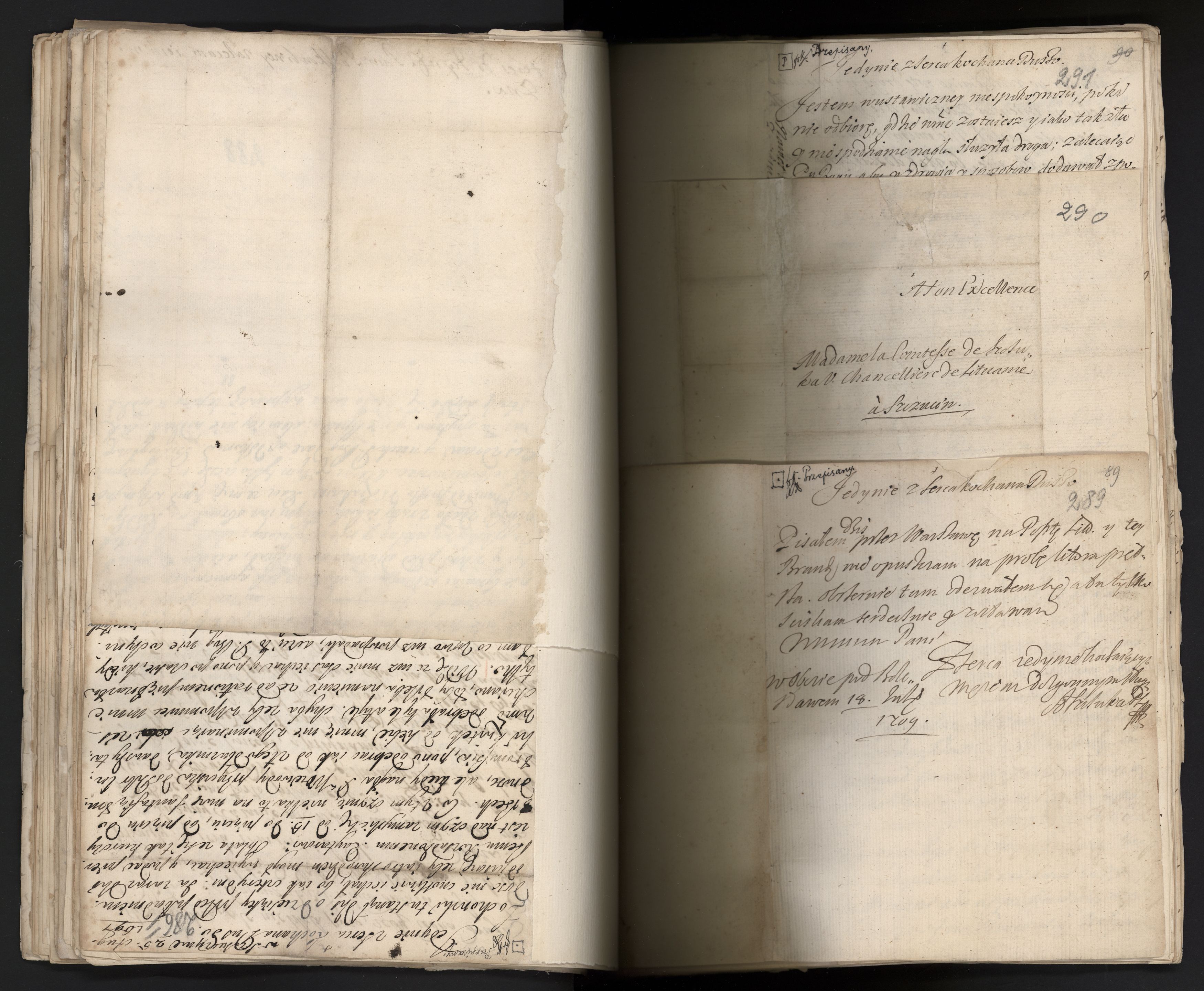 1_335_0_0_163a-42_0171